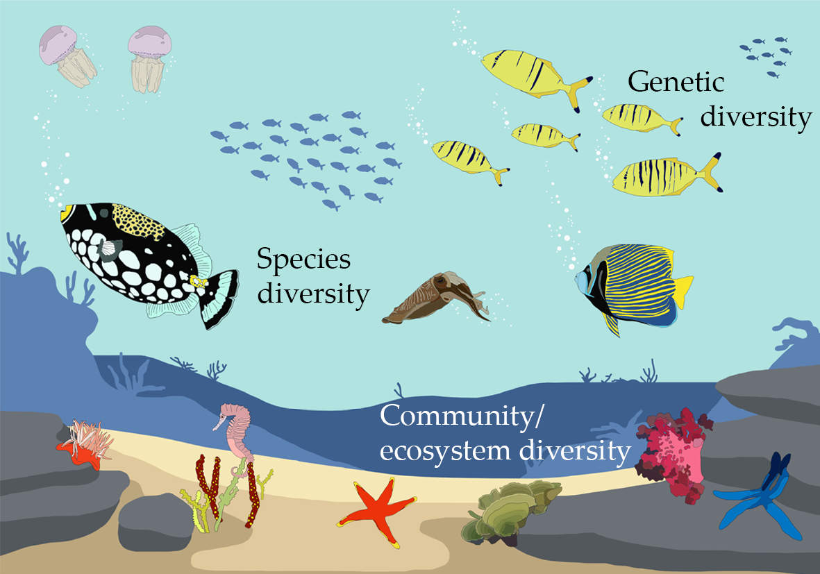 What Is Biodiversity Types Importance And Restoring 43 OFF