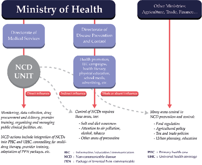 2. Diseases, NCD Program Managers and the Politics of