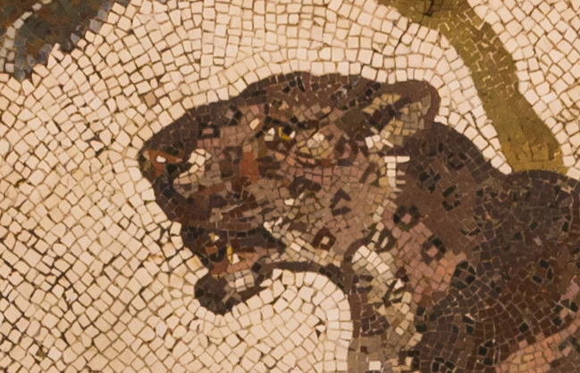 Ancient Roman mosaic, featuring a panther—detail from Pompeii, National Archaeological Museum, Naples https://commons.wikimedia.org/wiki/File:MANNapoli_SN_mosaic_Panthere.jpg Public domain.