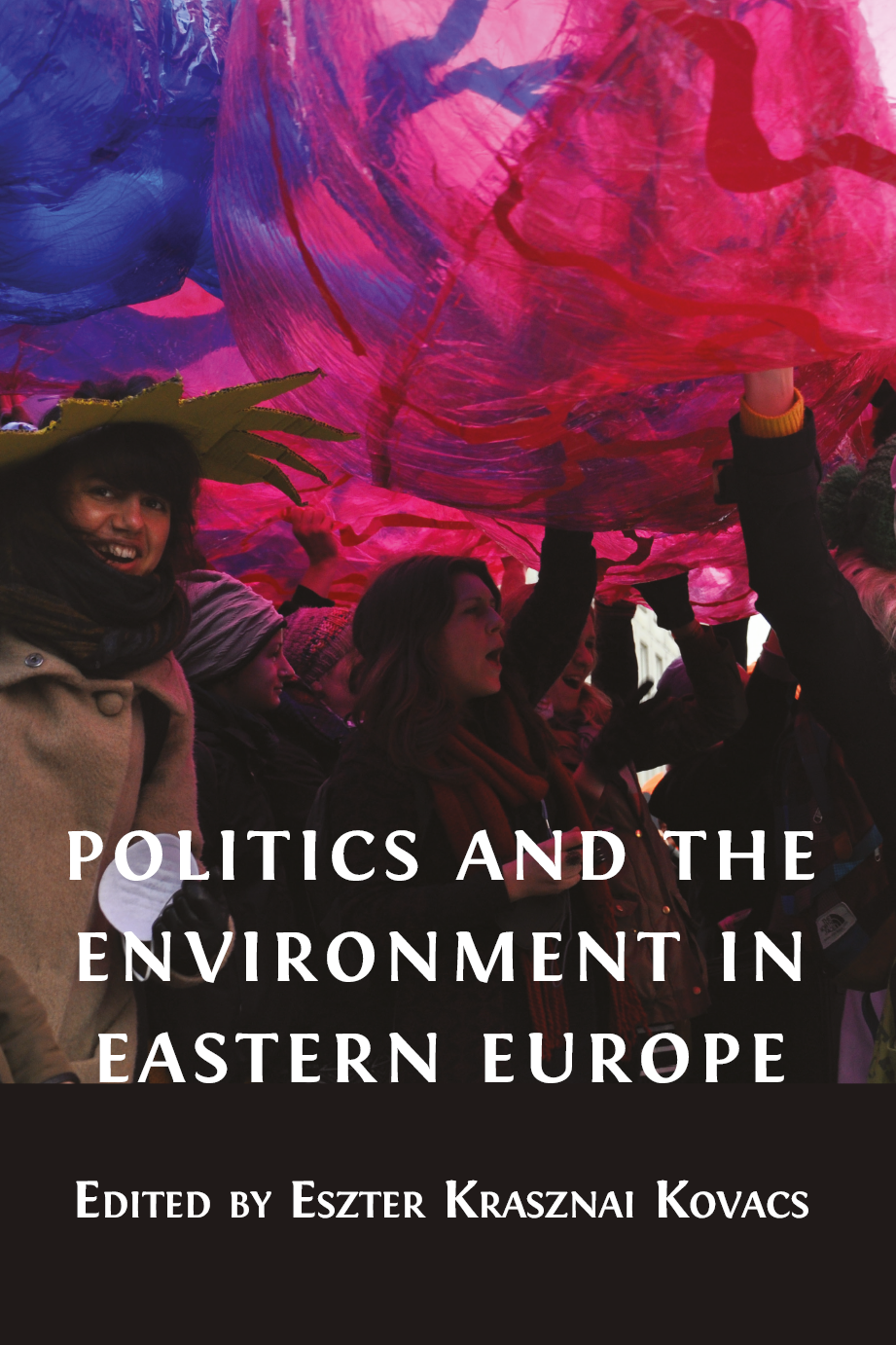 Politics and the Environment in Eastern Europe book cover image