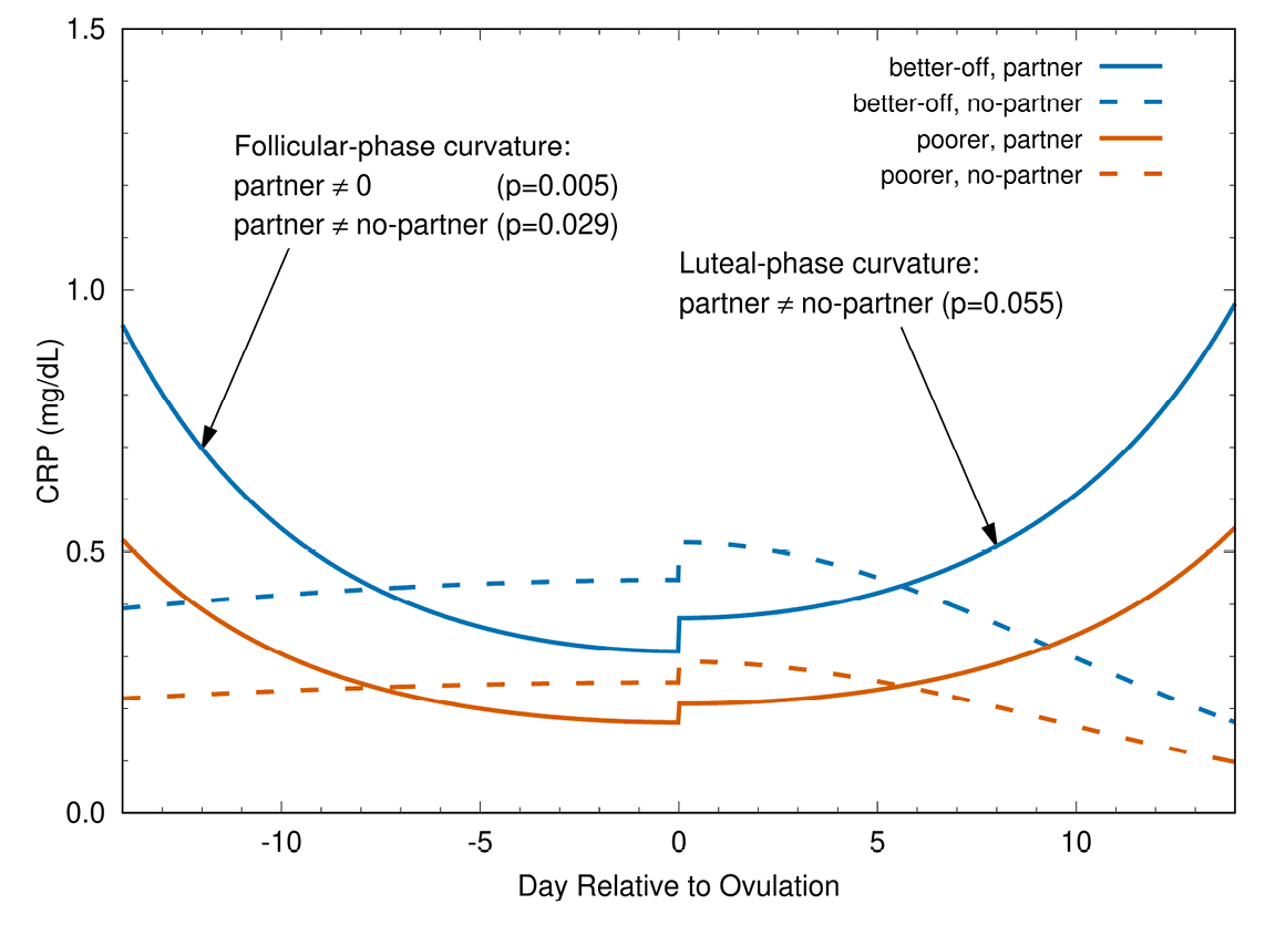 This graph has a vertical y-axis labelled “CRP concentration” ranging from 0 to 1.5mg/dL. The horizontal x-axis labelled is “day relative to ovulation”: ovulation=day 0, the days before ovulation (the follicular phase) are numbered backward from ovulation to Day -15; the days after ovulation (the luteal phase) are numbered forward to Day 15. The graph shows fitted models for CRP as a function of day relative to ovulation, for 4 groups of women: poorer with a partner, poorer without a partner, better-off with a partner, and better-off without a partner. For better-off and poorer women with partners, the graph shows modelled CRP being high in the early follicular phase, gradually falling to a minimum at relative day 0 (ovulation), then gradually rising to a maximum in the late luteal phase. The curvature of these lines reflects CRP being lower around ovulation than in the early follicular or late luteal; this is significant at p=0.005. Women with a partner have significantly higher CRP than those without partners in both the early follicular phase (p=0.029) and the late luteal phase (p=0.055). For both women with and without partners, better-off women have higher CRP than poorer women at all times. For better-off and poorer women without partners, the graph shows modelled CRP having a slight jump at relative day 0 (ovulation), and being generally higher near relative day 0 (ovulation) than at other times, but neither of these effects are statistically significant.