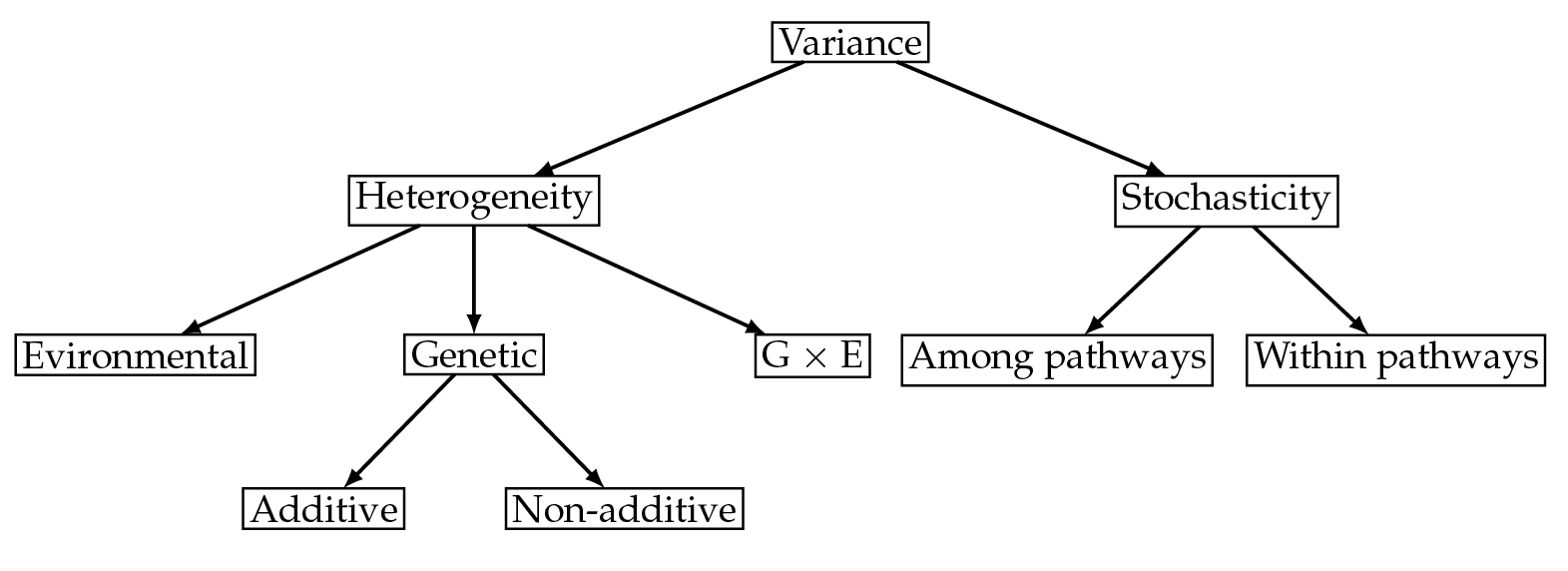 A box diagram attributing variance to its main two sources; heterogeneity and stochasticity. Heterogeneity is split into variance from environmental, genetic, and G-by-E sources, where the genetic variance is further divided into additive and non-additive contributions. Stochasticity is split into contributions from variance within pathways and among pathways.