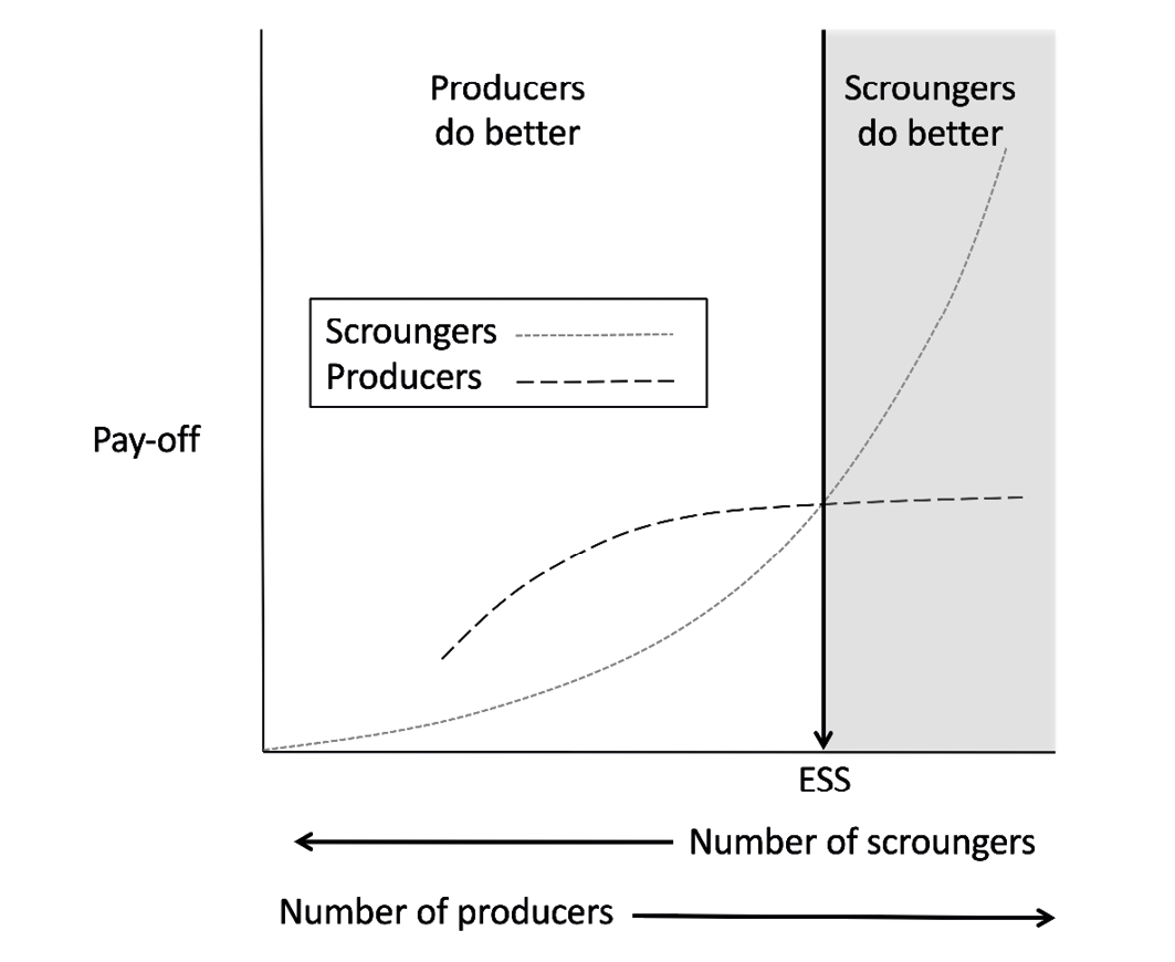 A schematic diagram, illustrating the association of ‘pay-off’ (y-axis) against the number of producers relative to scroungers in the population (x-axis). Two dotted lines identify the changing pay-offs for producers and scroungers as their relative frequency changes. The line for the producer pay-off initially increases and then plateaus moving right across the graph, whereas the line for scrounger pay-off starts much lower but increases exponentially, ending higher. A vertical line bisects the x-axis, labelled with the word ESS, at the point where the two dotted lines cross. To the left of this vertical line, the graph area is labelled ‘Producers do better’. To the right of the line, the graph area is labelled ‘scroungers do better.