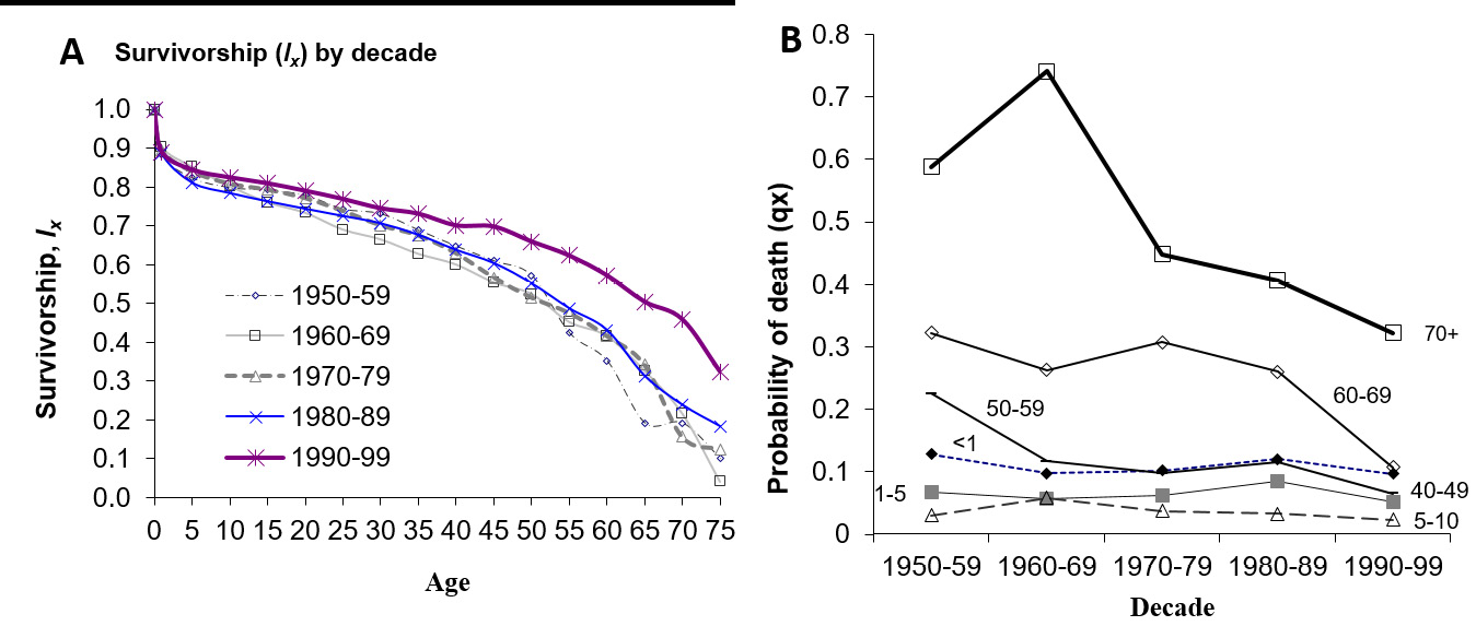 These graphs show survivorship curves by decade over the period 1950-99, and changes in age-specific mortality with age. Mortality rates had dropped most steeply in later ages.