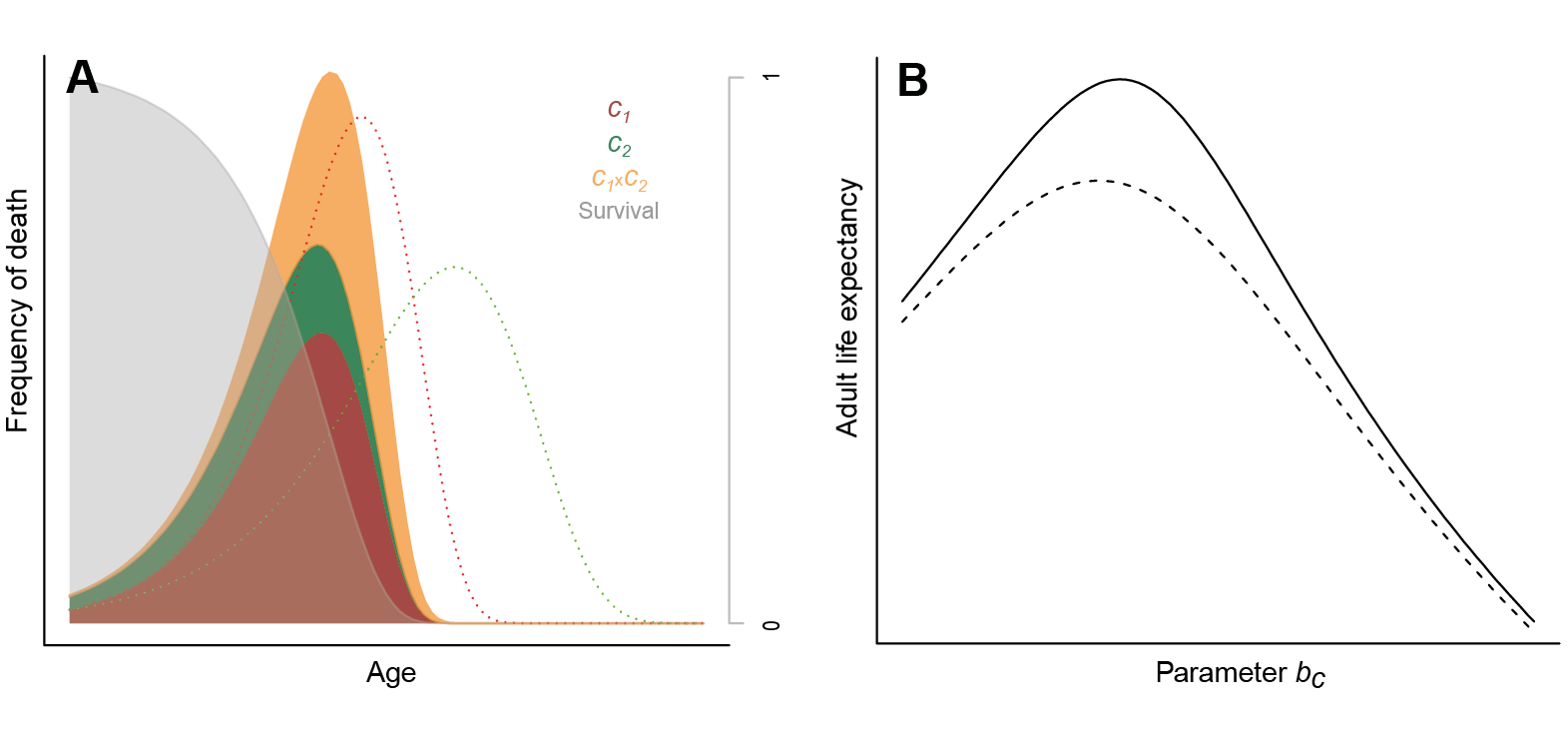 Chart with 2 panels. Left panel depicts stack frequencies of death for three causes in the Y-axis and age in the X-axis. By contrats to figure 1, cause of death three is frequent and results from an interaction between cause of death 1 and 2. Right panel depicts two bell-shaped functions of fitness with respect to the b parameter of the Gompertz function modelling cause of death three.