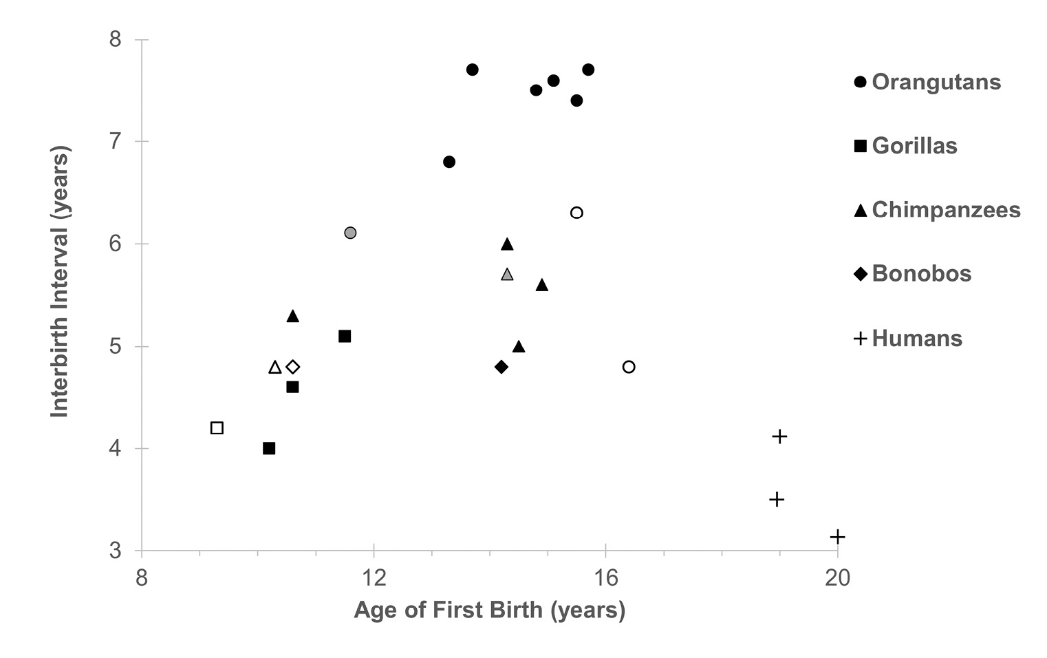 Figure 5: Scatterplot shows a strong relationship between age of first birth and interbirth interval within and between non-human great ape populations, while humans interbirth intervals are approximately half as long as would be predicted based on this relationship.
