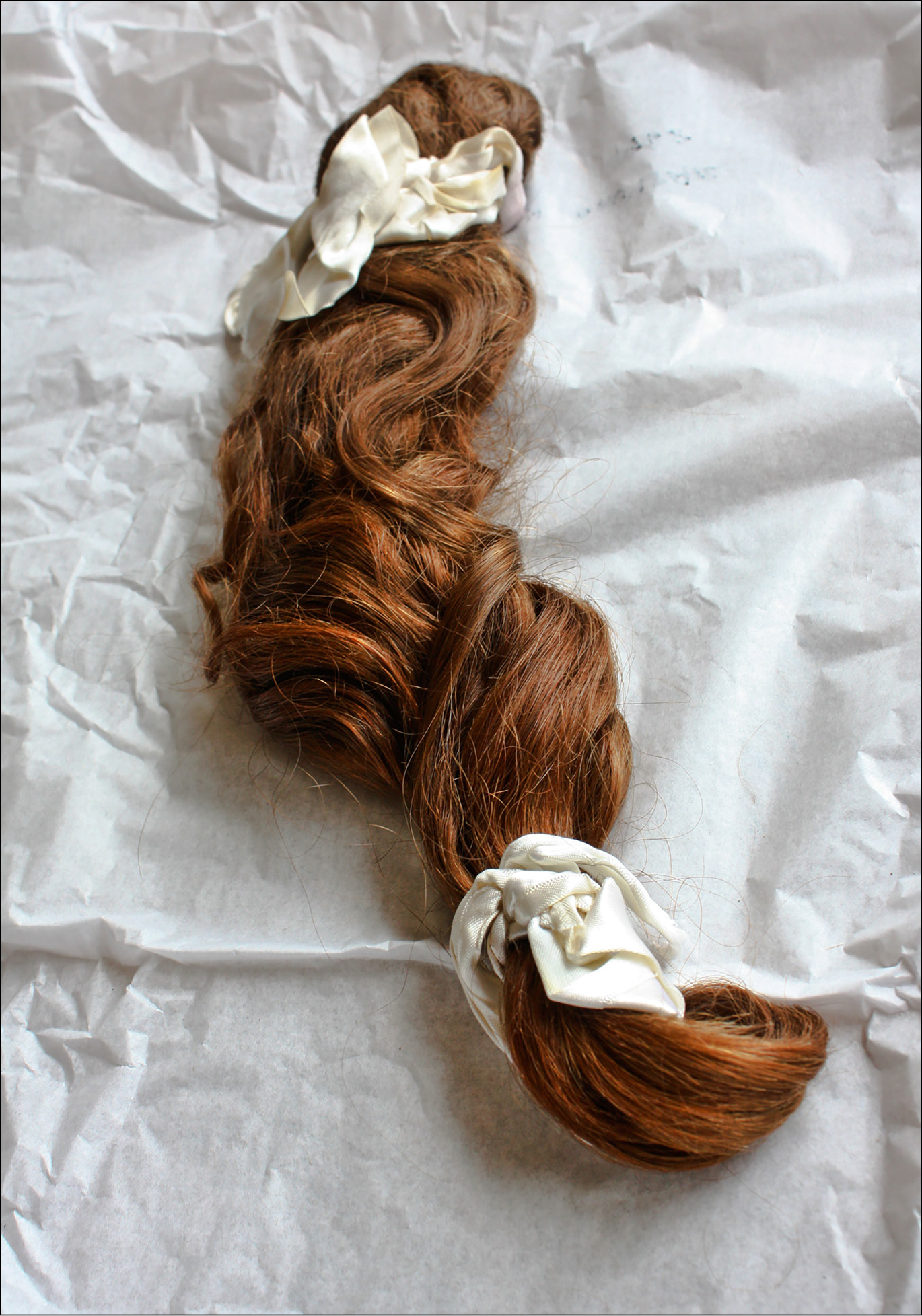A severed auburn ponytail secured at either end with a white satin ribbon
