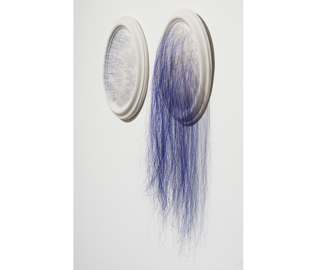 Image of two white porcelain plates with blue strands of hair attached.