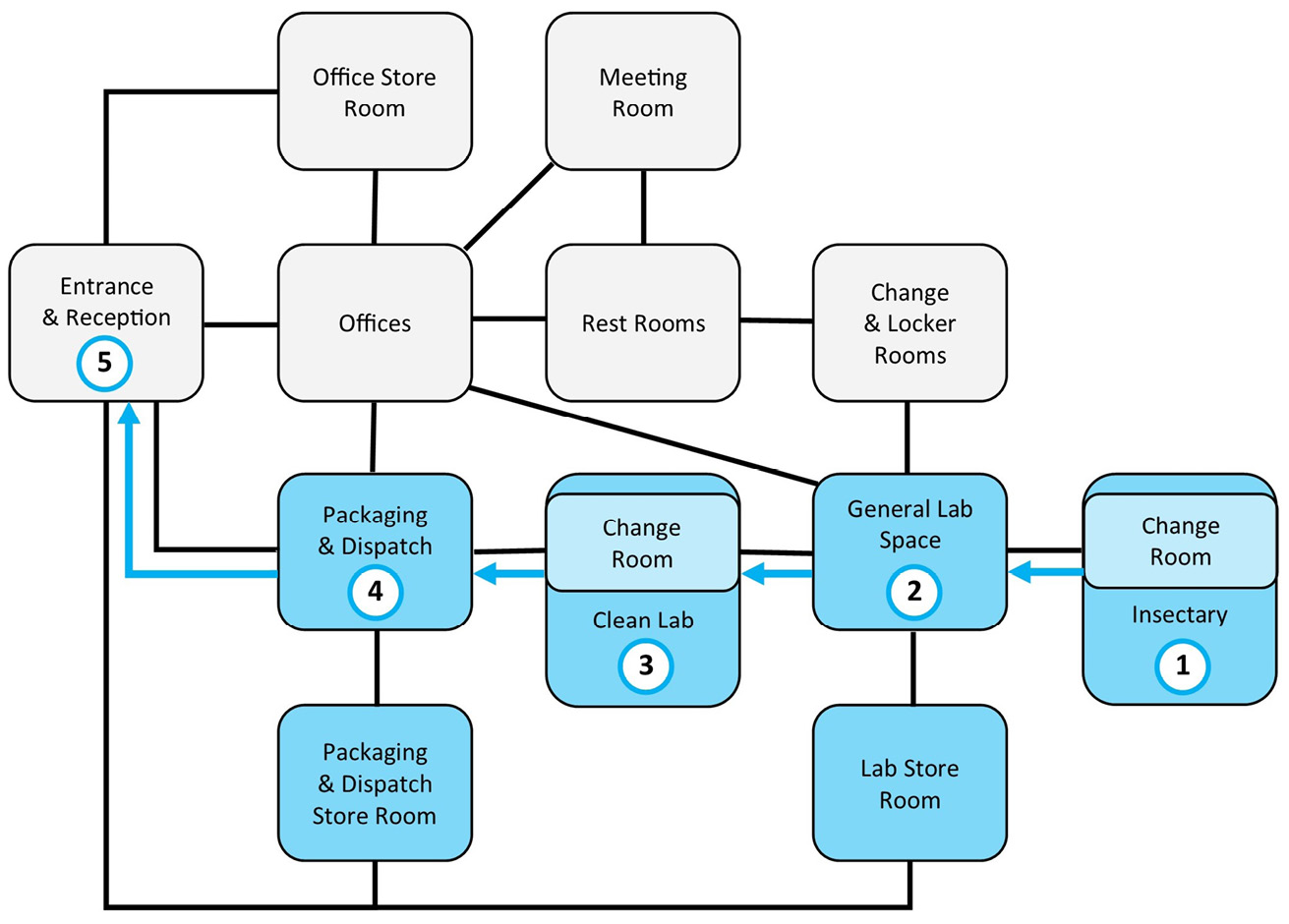 This is a proximity and workflow diagram using rectangular boxes that represent rooms in a laboratory facilitiy. Their position and the connection lines between the boxes illustrate how rooms are best arranged to facilitate the movement of people and materials through the facility. Blue colour and arrows are used to highlight the unidirectional path of medicinal maggot production from the insectary to packing and dispatch.