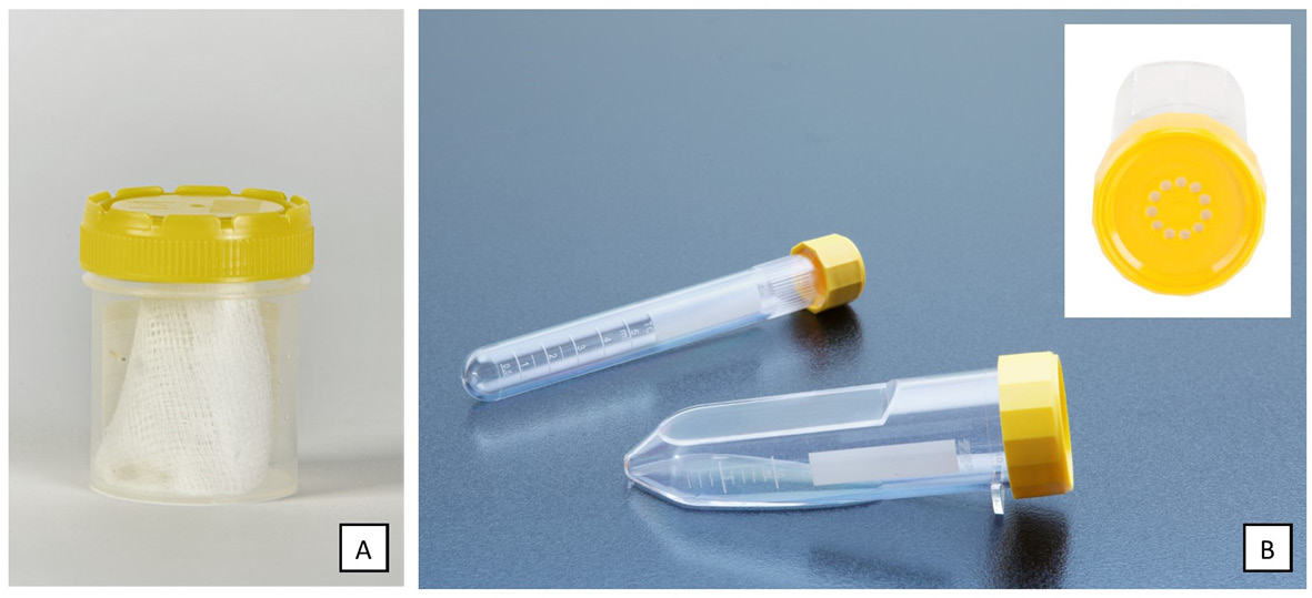 Two photographs, one of a plastic sample container and one of tissue culture vials, illustrate the types of container that can be used for the primary packaging of medicinal maggots.