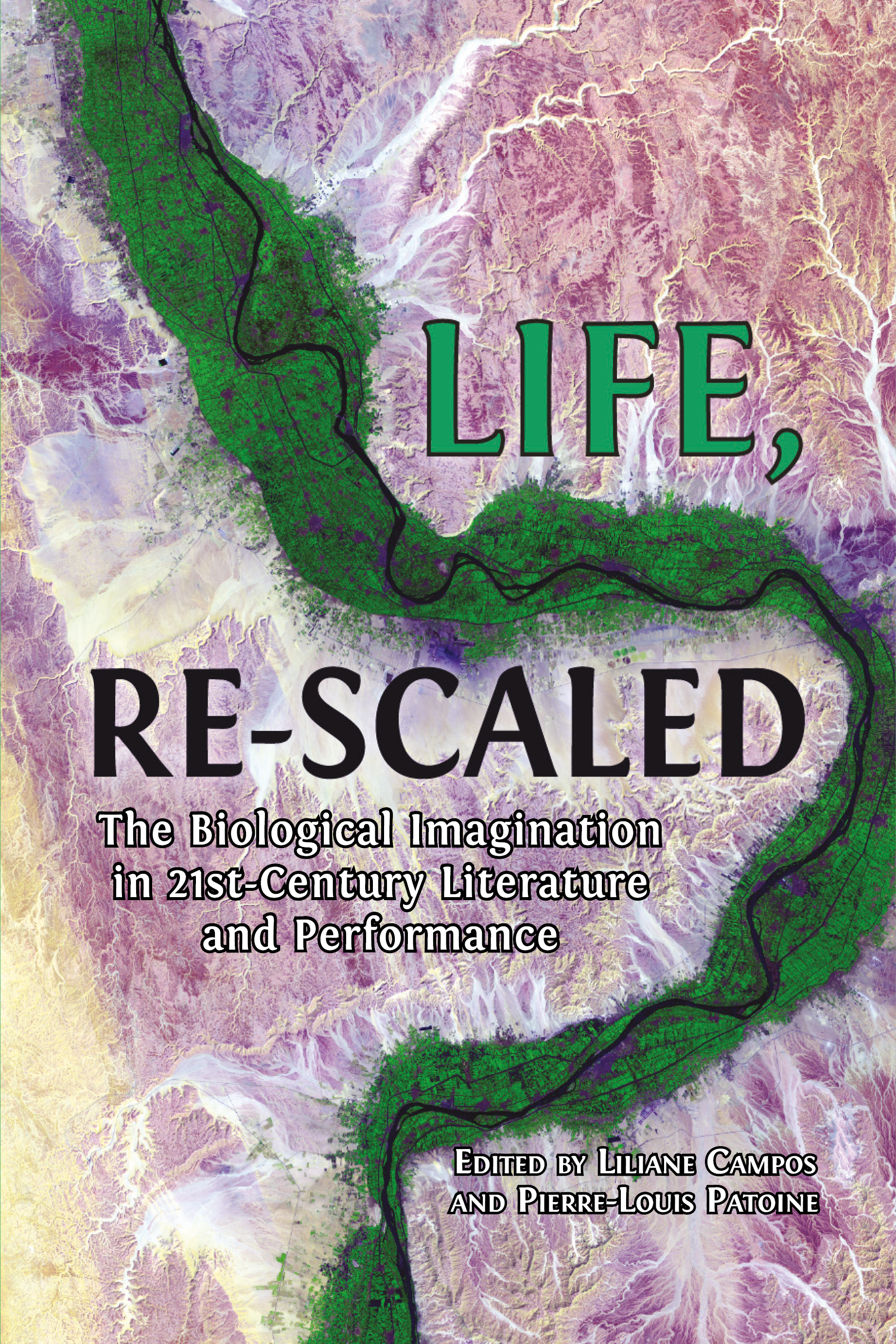 Life, Re-Scaled book cover image