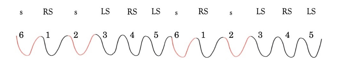 Svikt analysis of two forward minuet steps performed from left to right. The numbers mark the beats of the music, the letters mark the svikts (bendings and stretchings), and the red parts of the curve shows the bendings highlighted in eighteenth-century dance descriptions and Feuillet notation of the minuet step.
