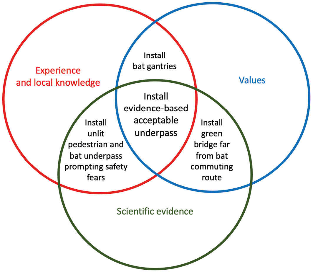 A Venn diagram containing three intersecting circles. The intersection between the 'experience and local knowledge' circle and 'values' circle is labelled 'install bat gantires'. The intersection between the 'values' and 'Scientific evidence' circles is labelled 'install green bridge far from bat commuting route'. The intersection between the 'scientific evidence' and 'experience and knowledge' circles is labelled 'install unlit pedestrian and bat underpass prompting safety fears'. The central intersection of all three circles is labelled 'install evidence-based acceptable underpass'.