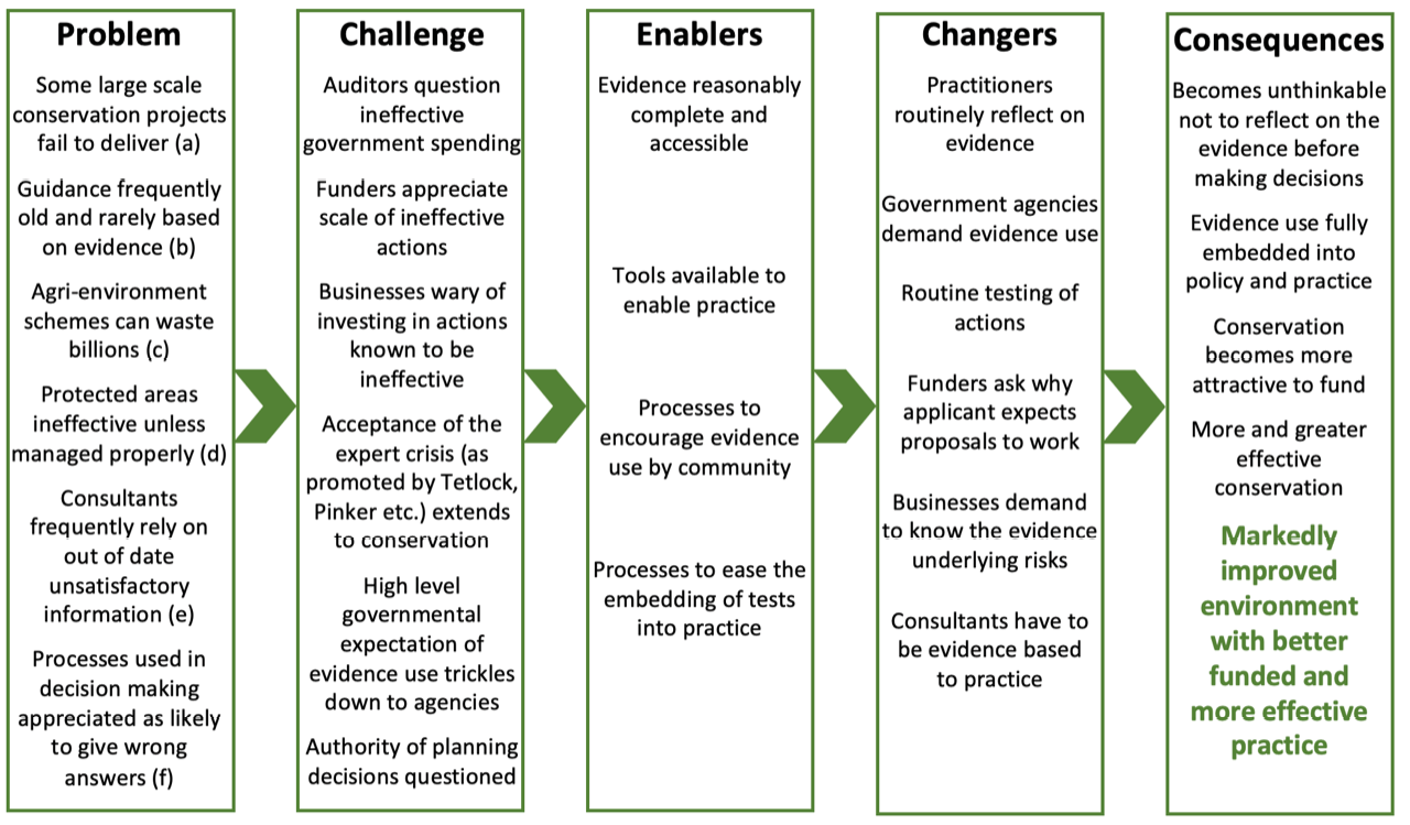 A flow diagram with five boxes labelled from left to right as 'problem', 'challenge', 'enablers', 'changers' and 'consequences'. The ultimate consequence being 'markedly improved environment with better funded and more effective practice'.