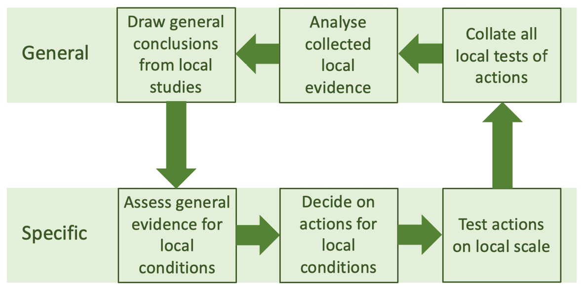 The figure shows a circular process depicting the links between specific and general information for conservation actions. There are two rows of information, the top row depicting general information, and the bottom row depicting specific information. In the bottom row, the process starts by assessing general evidence and how it applies to local conditions, before deciding upon actions based on this information, and then testing those actions at the local scale. This then links back to the top row on general information, where the local tests of actions can be collected, then analysed, before general conclusions can be drawn from these local studies. These general conclusions then feed back into the bottom row where general evidence can be collated for local conditions.