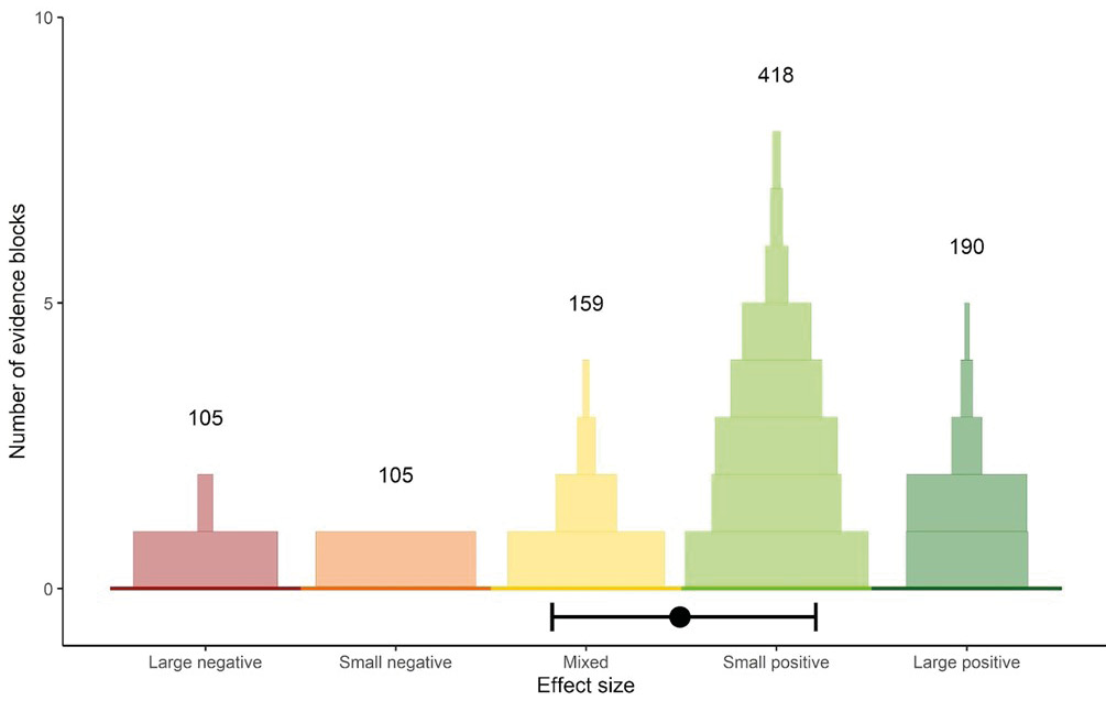 A graph showing the strength of evidence behind a claim. The effect size is represented categorically on the x axis as varying between large negative and large positive. The number of pieces of evidence is shown on the y-axis. Each evidence piece placed on the graph varies in width dependant on its overall weight.