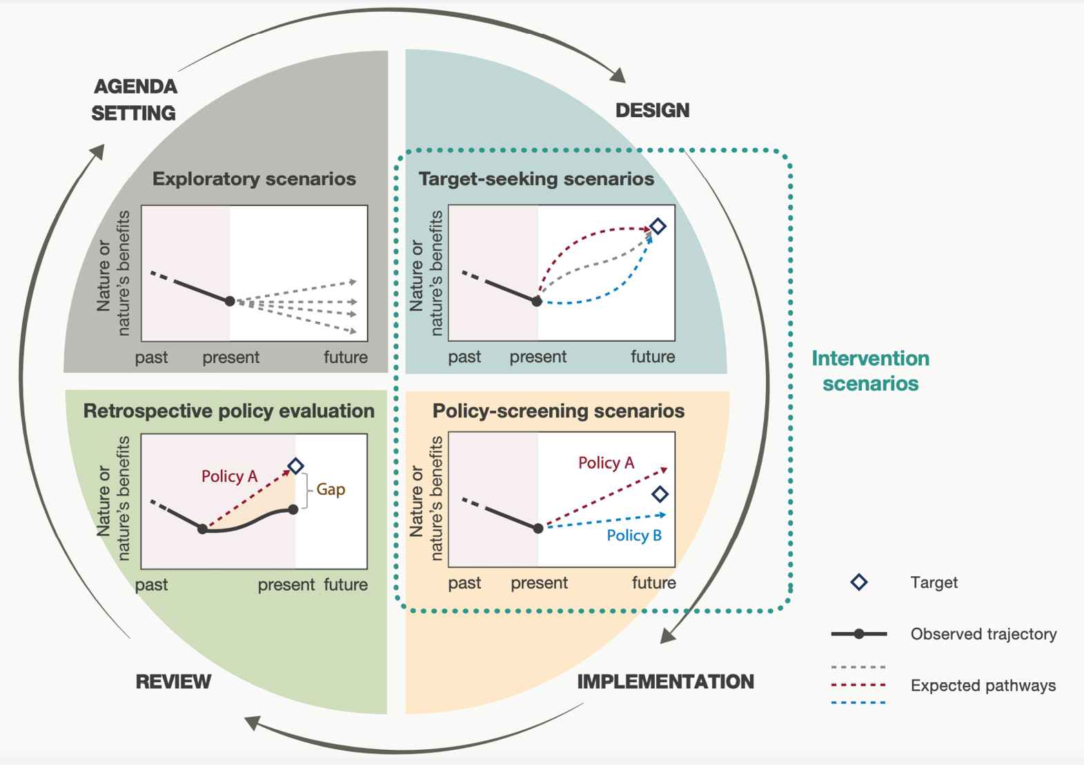 A circular flow diagram illustrating the stages of the policy cycle.