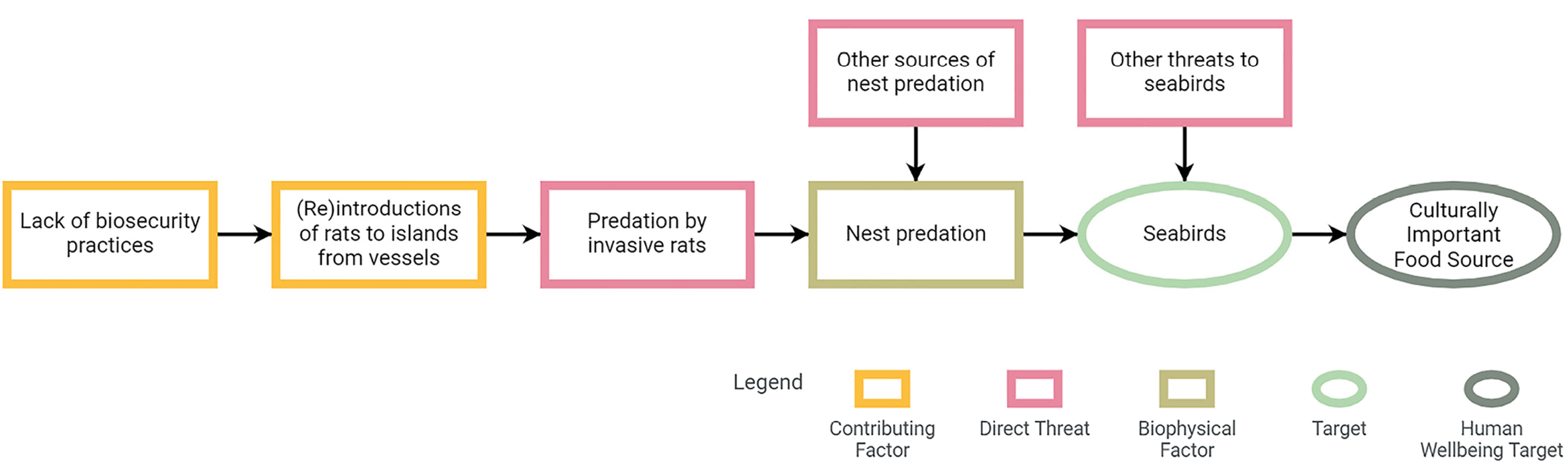 A linear flow diagram illustrating how the threats of invasive rodent predation and associated contributing factors are linked to seabirds.