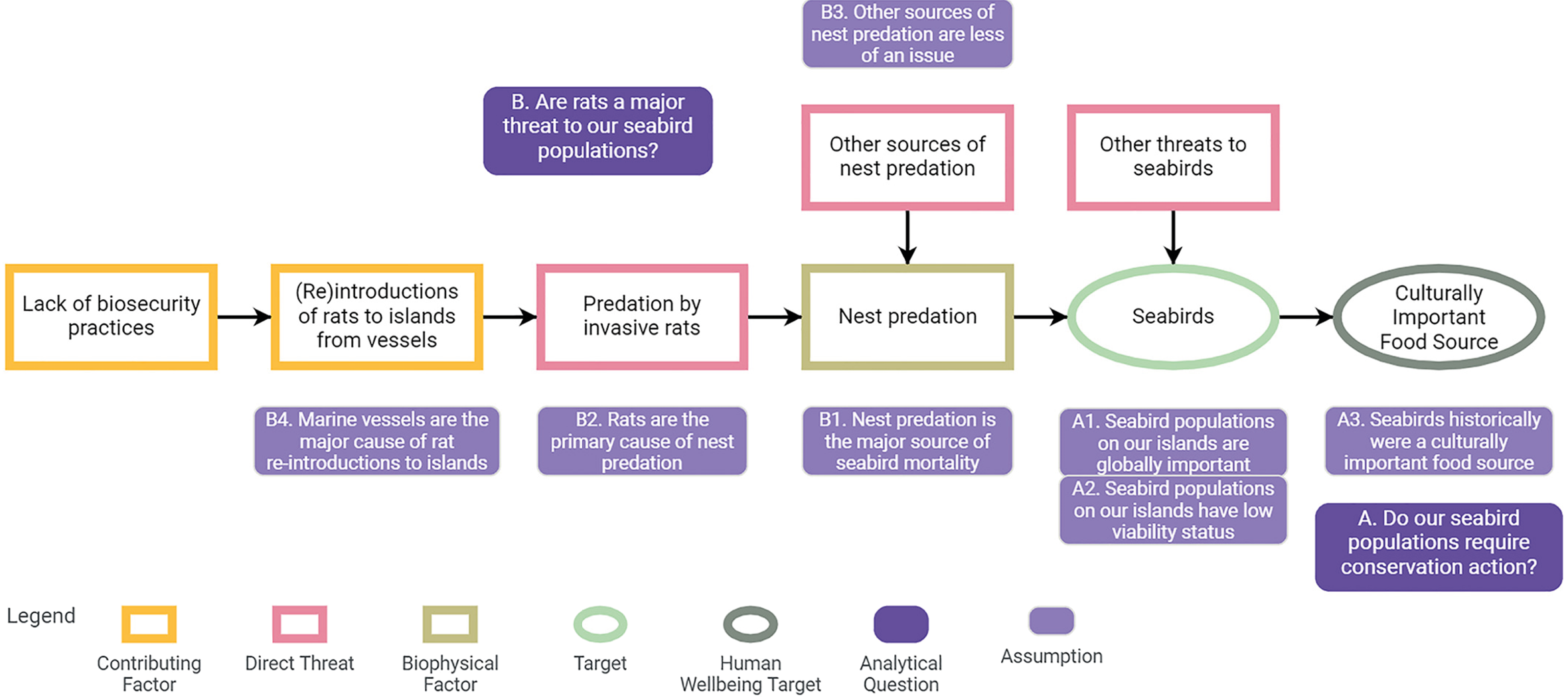 A linear flow diagram illustrating how the threats of invasive rodent predation and associated contributing factors are linked to seabirds. Different stages of the flow diagram are linked to associated analytical questions and assumptions.