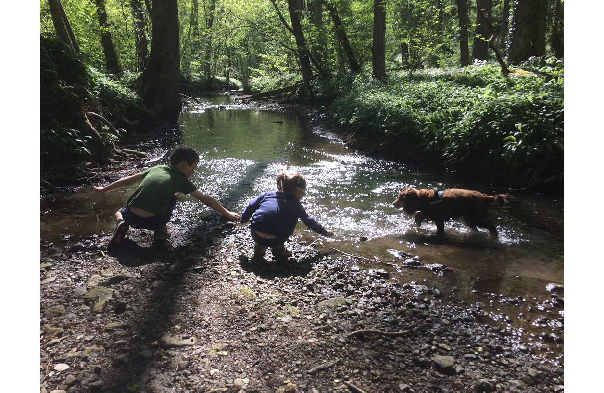 Photo of two children in a wood playing with a dog in a stream