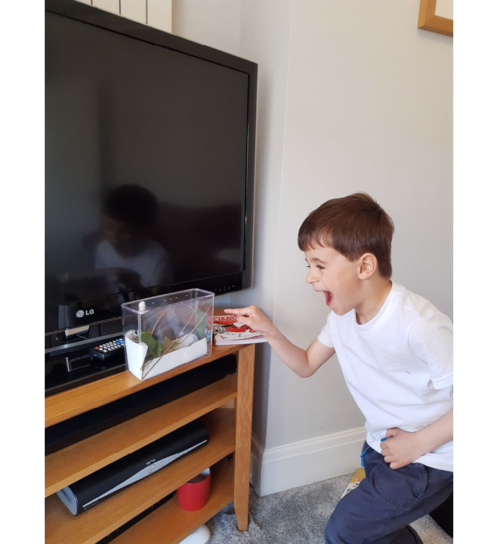 Photo of a child pointing excitedly at spider in tank placed in front of tv in living room