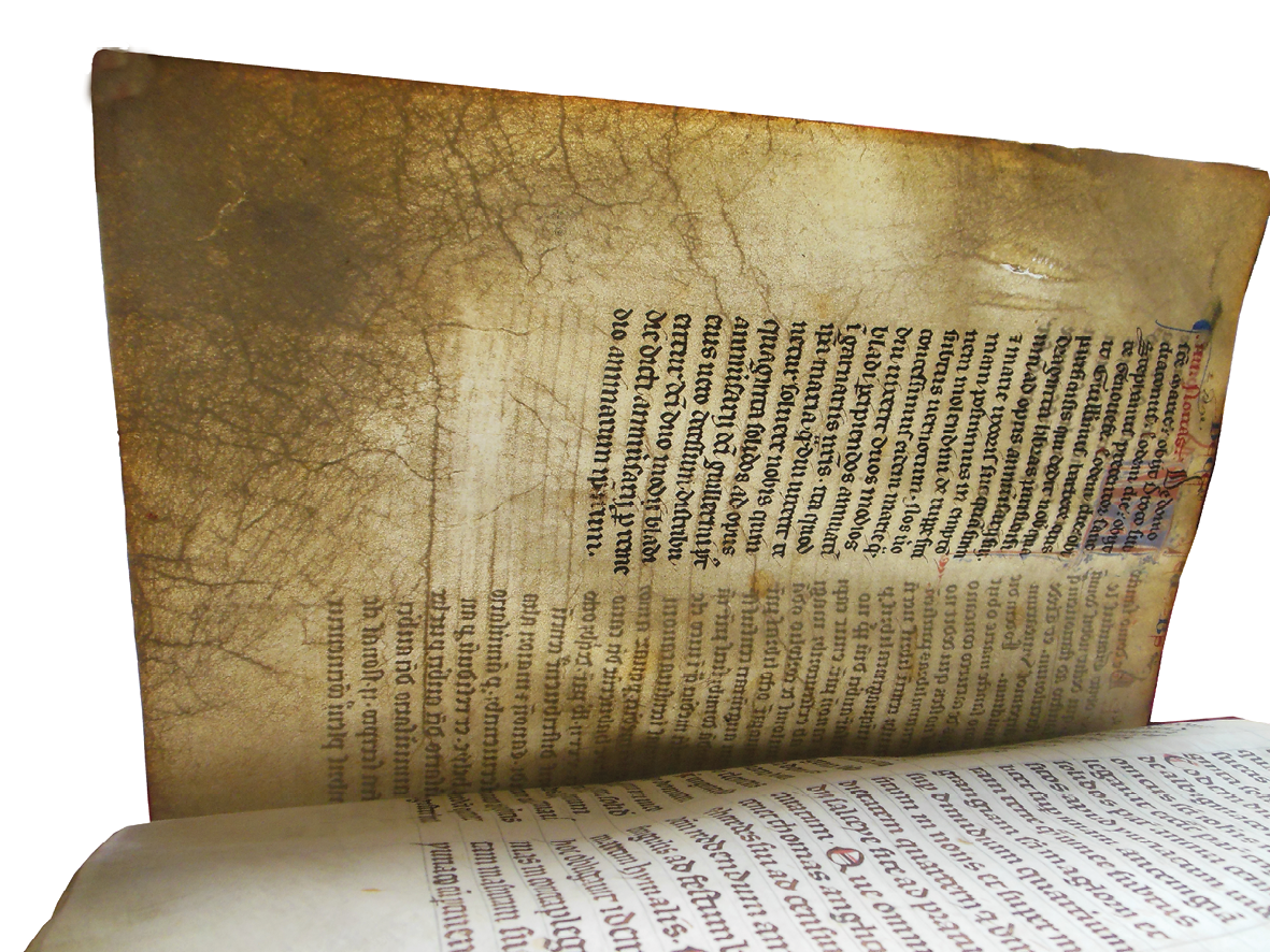 Obituary added after 1492 to the Grand Obituary of Notre-Dame, photographed with backlighting to reveal the slight of the wear, concentrated at the corner. It transmits significantly more light than the more severely worn folio in the previous figure.