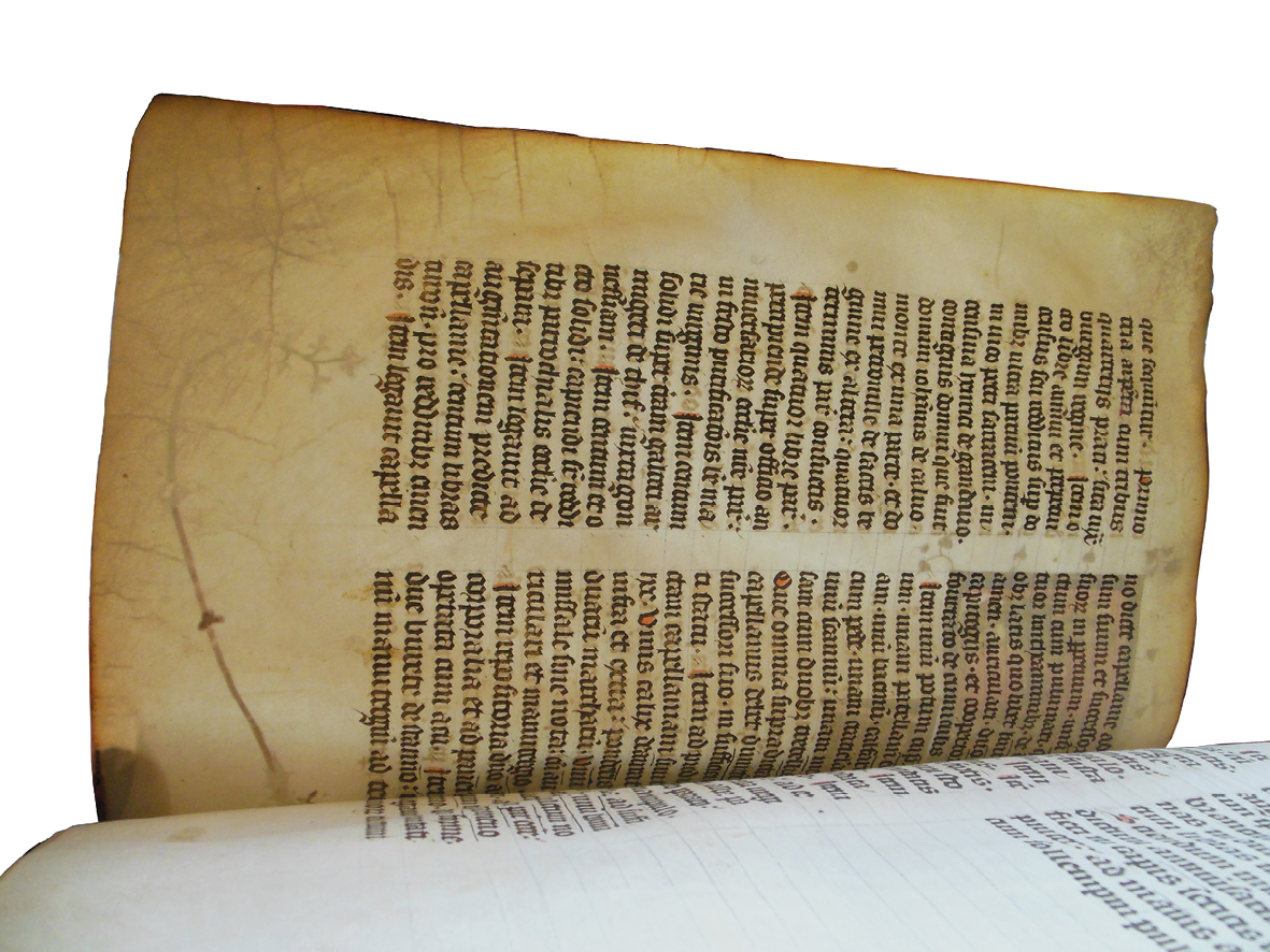 Folio added to the Grand Obituary of Notre-Dame, photographed with backlighting. The parchment is quite transluscent, demonstrating that it was not extensively handled.