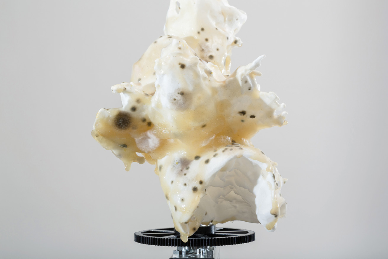 Close-up of a digitally remixed, hybridized fossil displayed on a rotating axis.