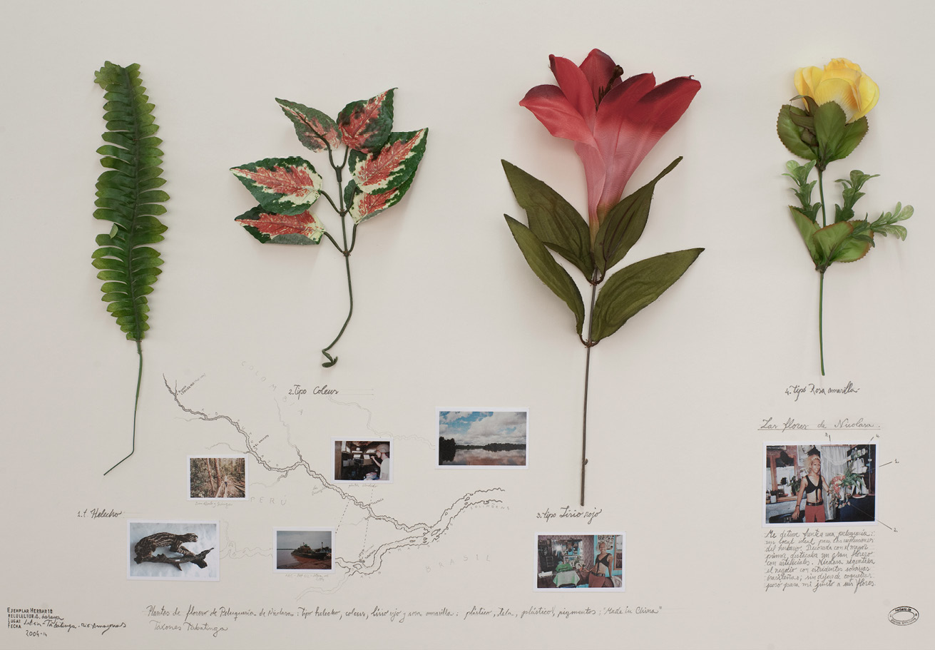 Close-up of a herbarium with artificial flowers and plants, with photographs of places where they would have been found in nature and of the person who collects them, surrounded by handwritten annotations in Spanish.