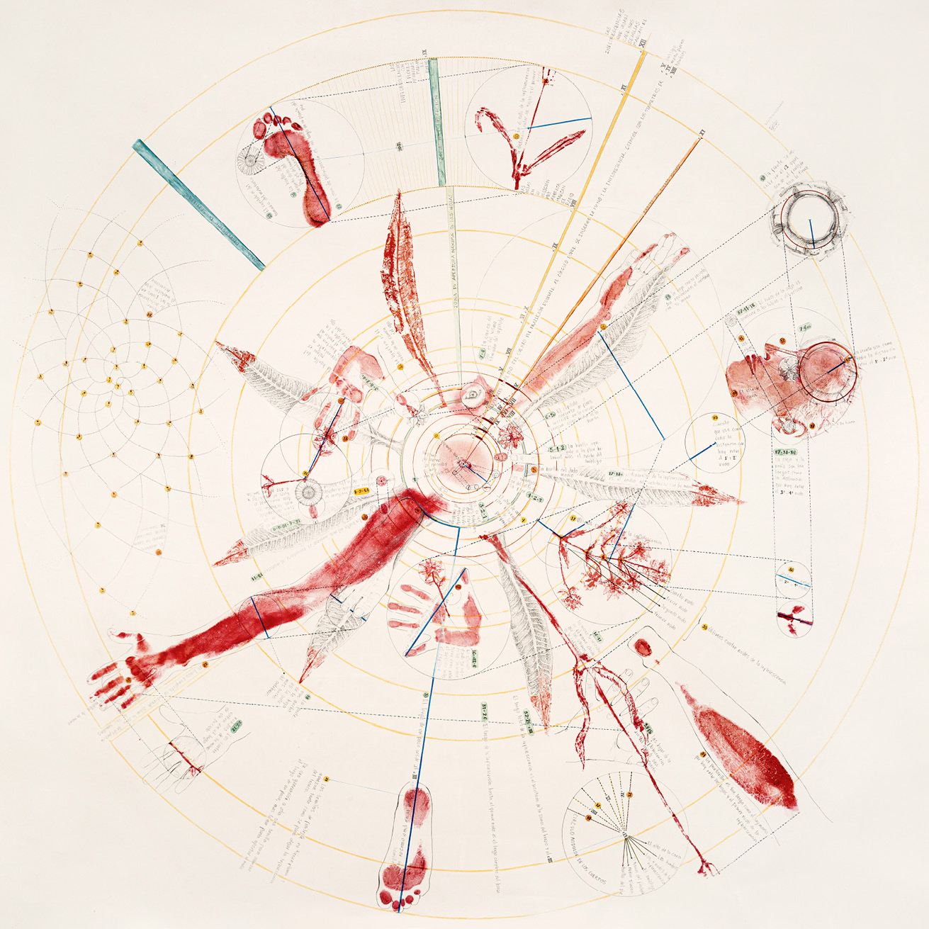Detailed reproduction of de Valdenebro?s body imprints in dark red ink on a series of concentric circles accompanied by graphs showing the exact measurements and handwritten annotations.