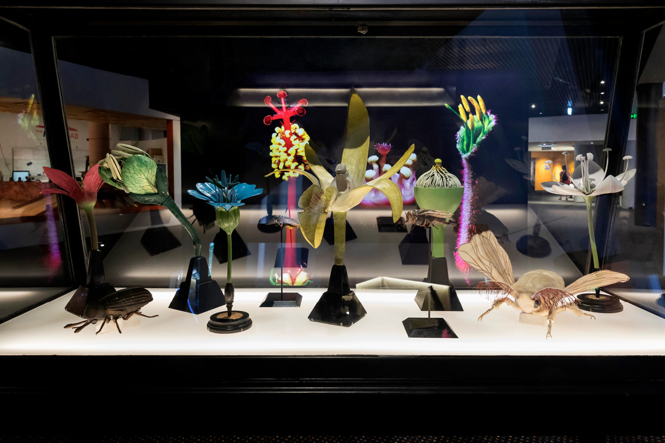 Glass display cabinet with multicoloured papier mƒch‚ models of insects and flowers.