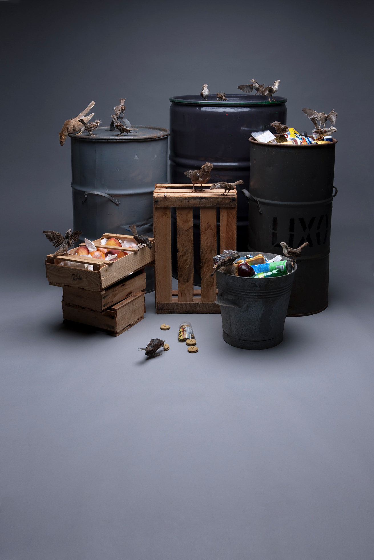 View of taxidermied rodent-headed birds sitting on and picking over wooden crates, trash cans, and metal barrels, some of which are filled with biodegradable waste and food packaging, while one bird is feeding off cookies discarded on the floor.
