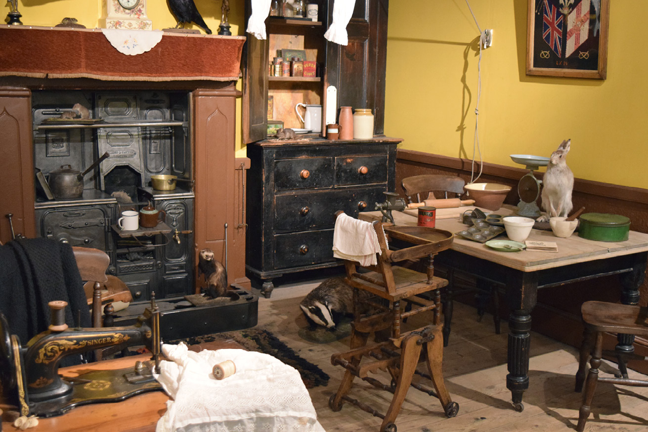 Close-up view of a room full of furniture, featuring chairs and tables, a Singer sewing machine, an antique kitchen scale, a ceramic clock, lots of pots and pans, and taxidermied nonhumans such as a hare sitting on the table, a skunk sitting on the floor, a polecat sitting on a piece of furniture, and an owl sitting on a higher shelf.