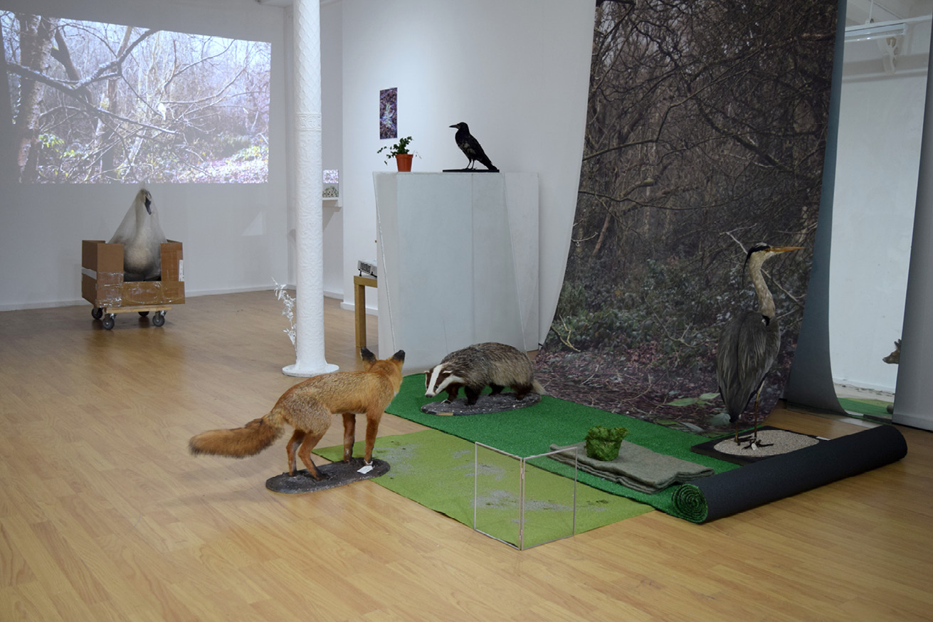 Diorama featuring a taxidermied fox, skunk, and bird sitting on the floor, a smaller taxidermied bird placed on a piece of furniture, and a swan sitting in a box placed on a rolling platform, with an image projection of forest landscape on one wall and a forest landscape print leaned against another wall.