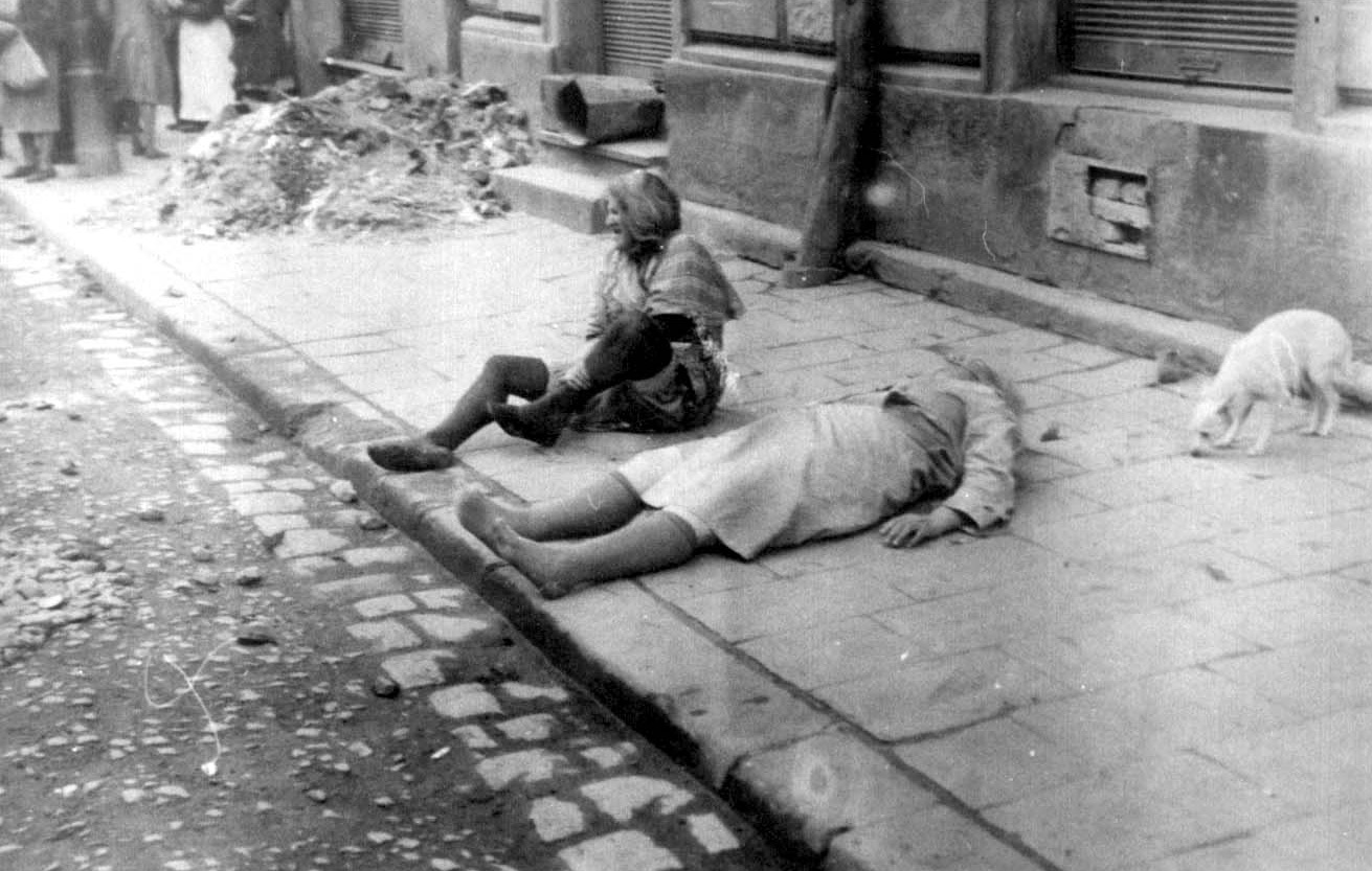 Beaten and distressed Jewish woman sitting on the pavement next to a killed Jewish woman and a scruffy, skinny dog.