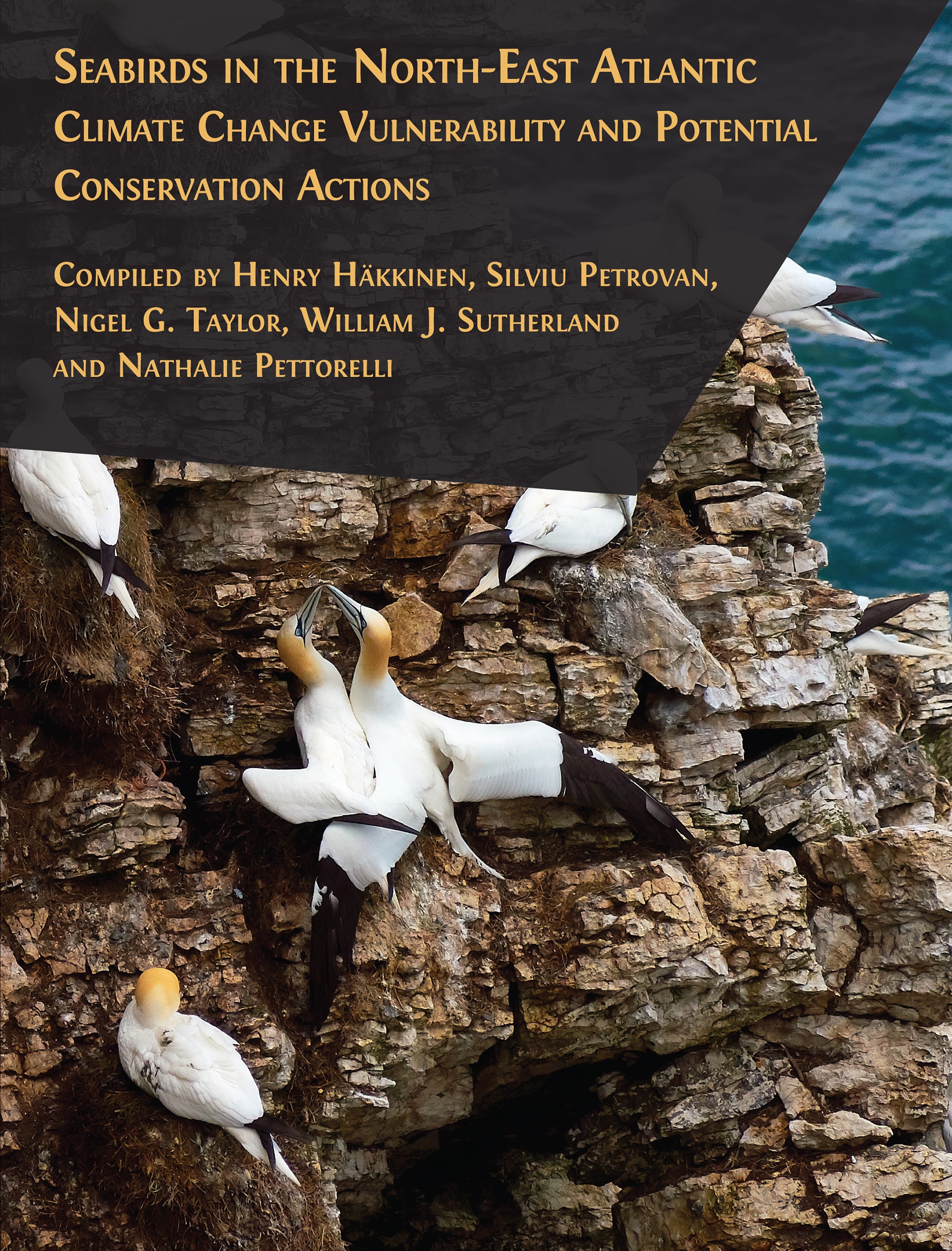 cover for Seabirds in the North-East Atlantic: Climate Change Vulnerability and Potential Conservation Actions