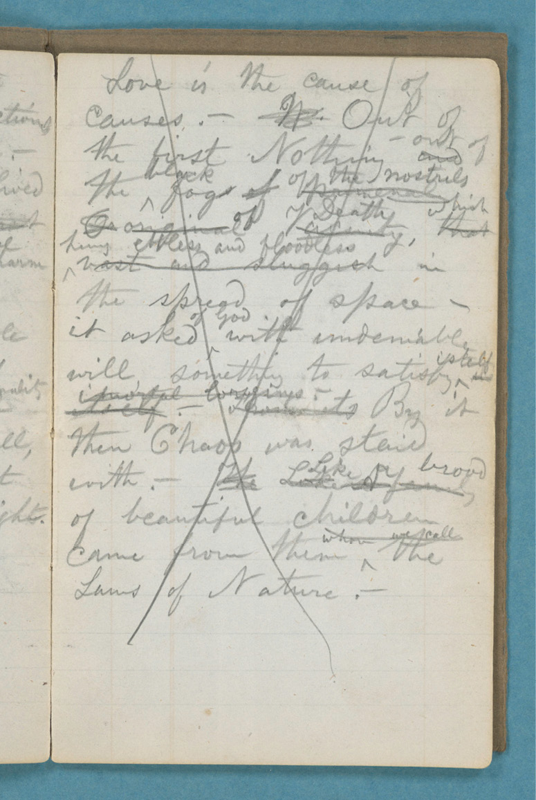 A small notebook pictured next to a ruler which shows that the notebook is slightly over 6 inches tall. The notebook is open and the right-hand page fills most of the photograph. It is covered in pencil handwriting with a lot of crossings-out and overwriting. The entire page is scored through with a large pencil cross.