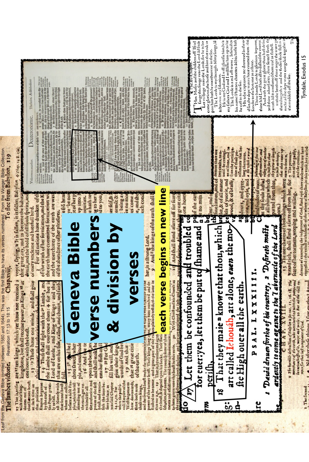 A composite image showing a number of different Geneva Bible pages, with text in a blue box saying 'Geneva Bible verse numbers & division by verses' and text in a yellow box saying 'each verse begins on new line' with arrows pointing to examples of this on each page of the Bible that is pictured.