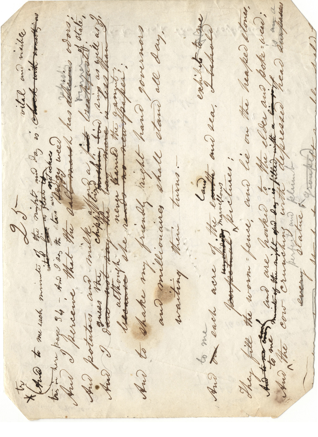 A piece of paper numbered 25 with handwritten notes in black ink, with lots of crossings-out and overwritings.