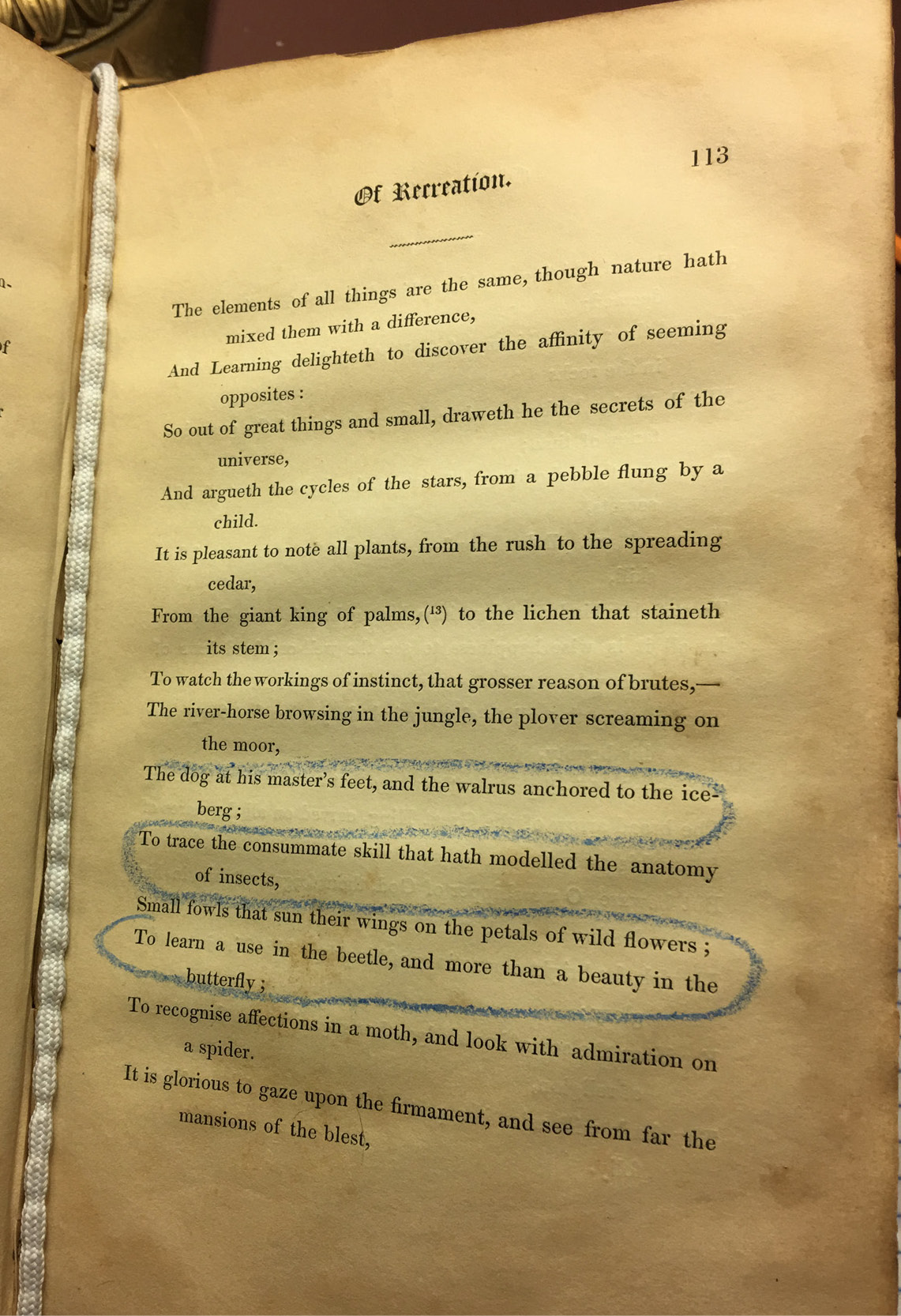 An old printed book with mottled pages held open on page 113, with a book snake running down the middle of the book to keep the pages open safely. Each sentence on this page is printed on a new line, and three of these sentences are circled in blue pencil.