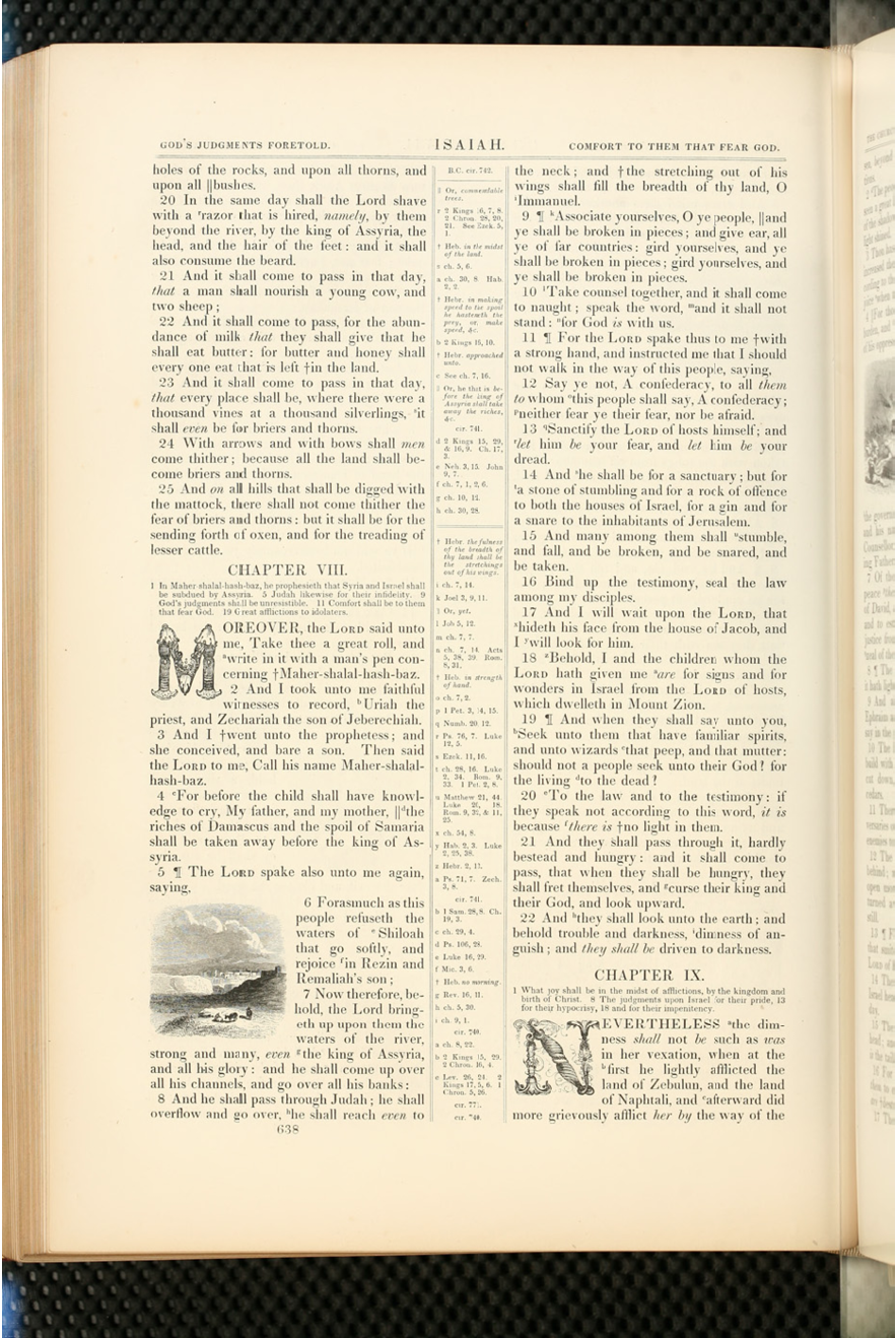 A page from Harpers Illustrated Bible with black and white illustration of cattle on barren land.