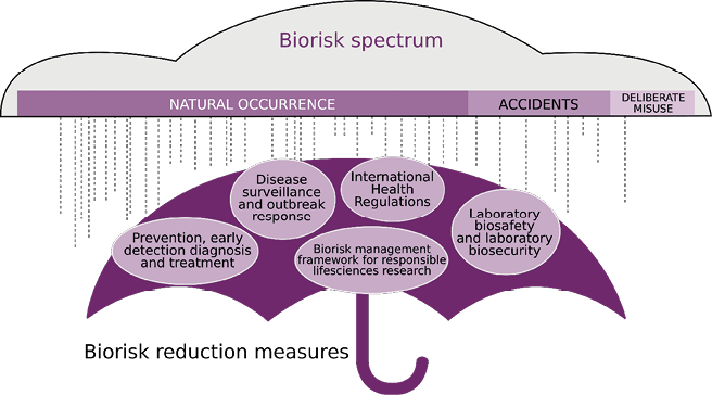 A pictural diagram showing the range of biological risks and the biorisk reduction measures