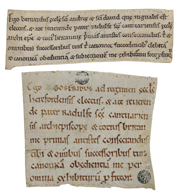 Two briefs with remnants of yellow thread provide tangible evidence of the archival practice of sewing charters together, creating a continuous legacy of ecclesiastical authority and a diachronic community, as seen in the physical and symbolic joining of individual professions.