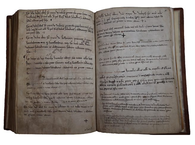 The professions added to the Pontifical of St Loup post-1191 (Troyes, Cathedral treasury, Ms. 4, 174v-175r), are inscribed into a liturgical manuscript (like some other Continental examples), but present individualized professions (like those in Canterbury).
