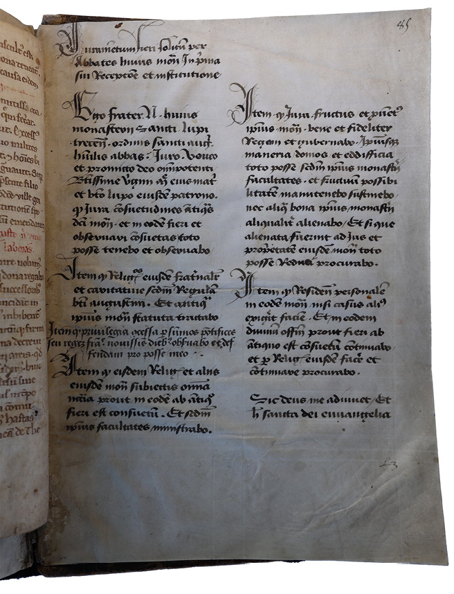A pivotal added sheet within the Gospels of St Loup, circa 1500 (Troyes, BM, Ms. 2775, fol. 85r), diverges from traditional professions to an anonymous oath format, highlighting the shift in ecclesiastical practice. Each aspirant was required to supply their own name, indicating a movement towards individualized responsibility within the ritual process. The text adaptation, post-Concordat of Bologna, reflects the dynamic interplay between religious vows and the political landscape of the time.