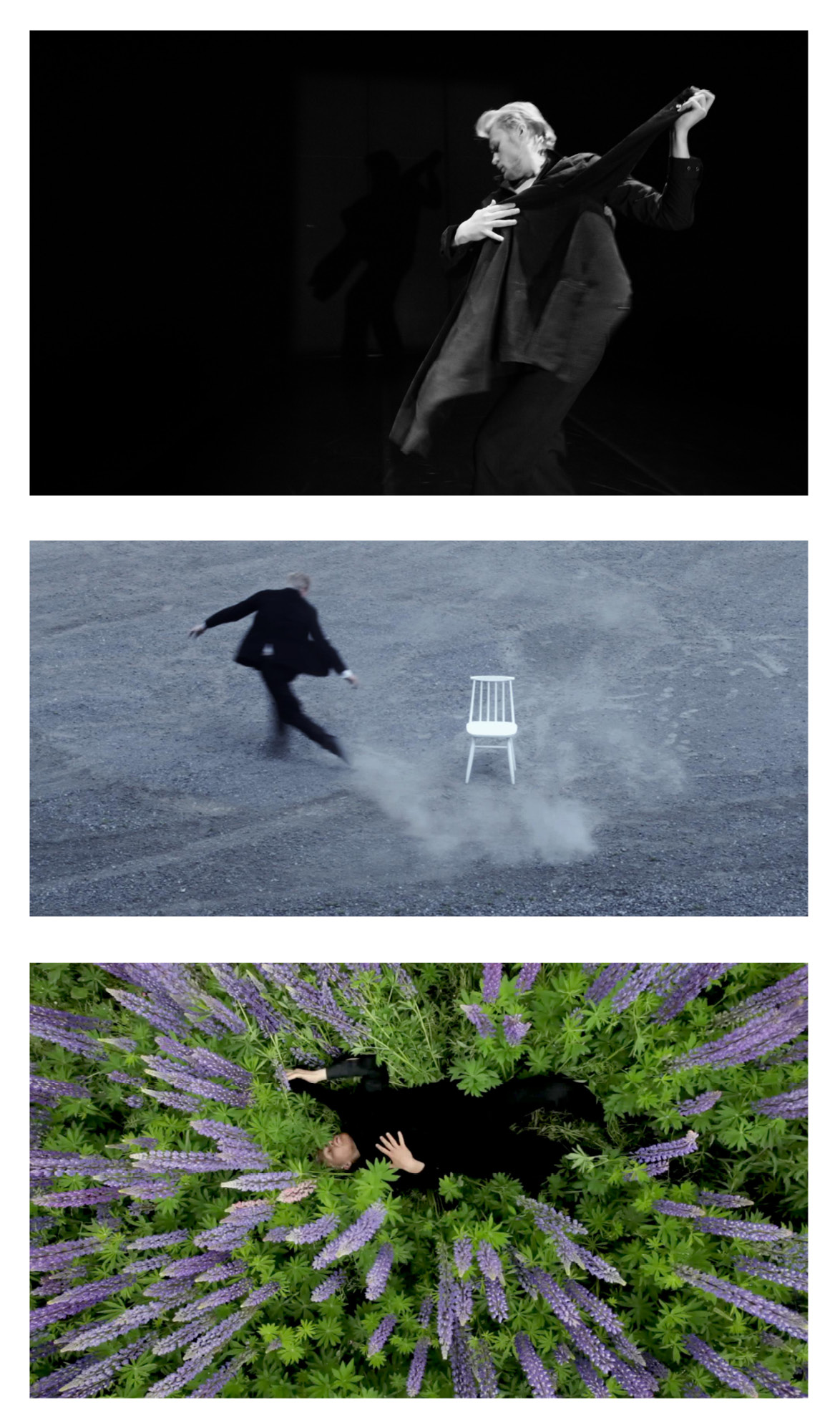 Three photograps of the same man with blond hair wearing black clothes. On top, in a black-and-white photograph, the man holding his jacket as it was his dancing partner. The background is completely black. In the middle, the man is running away from a white chair placed in the middle of a grey sandy field. The man’s run has raised a cloud of dust around the chair. On bottom, the man is lying on his back in a field of Lupinas and holds his jacket like a partner in a dance position. The man is viewed from above and showing purple Lupinas with bright green leaves growing around him.
