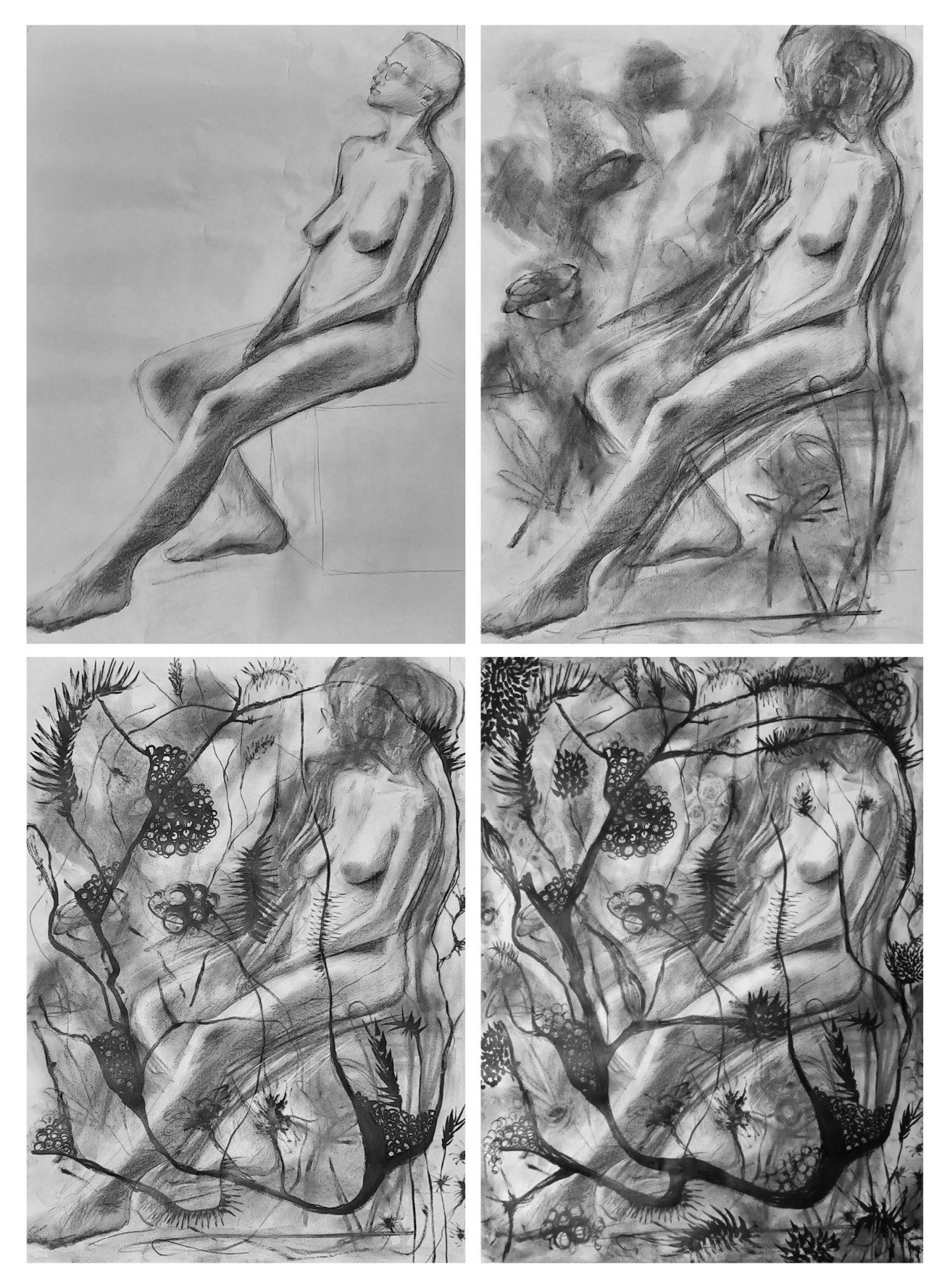 Four images of different stages of the same charcoal and ink drawing. In the upper left corner, a charcoal drawing of a naked woman sitting on top of a box drawn with a thin line. The woman’s position forms a diagonal line from the upper right corner of the paper to the lower left corner. The woman leans back and her left leg is extended almost straight and her right leg is bent. The hands rest in the lap. In the second drawing in the upper right corner, there are strong dark lines around the woman, the face is covered in a dark shade. The darkened areas also have white rubberized lines. The lines create the illusion of movement. Dark lines, circles and ovals have also been added to the character’s background. Some of the drawing marks are softer and some are clearer. In the third drawing, in the lower left corner, organic lines, wider strokes and bubble-like circles have been added with ink. In the fourth picture, in the lower right corner, plant-like vegetation takes over the entire foreground, so that the naked female figure is barely distinguishable in the background.