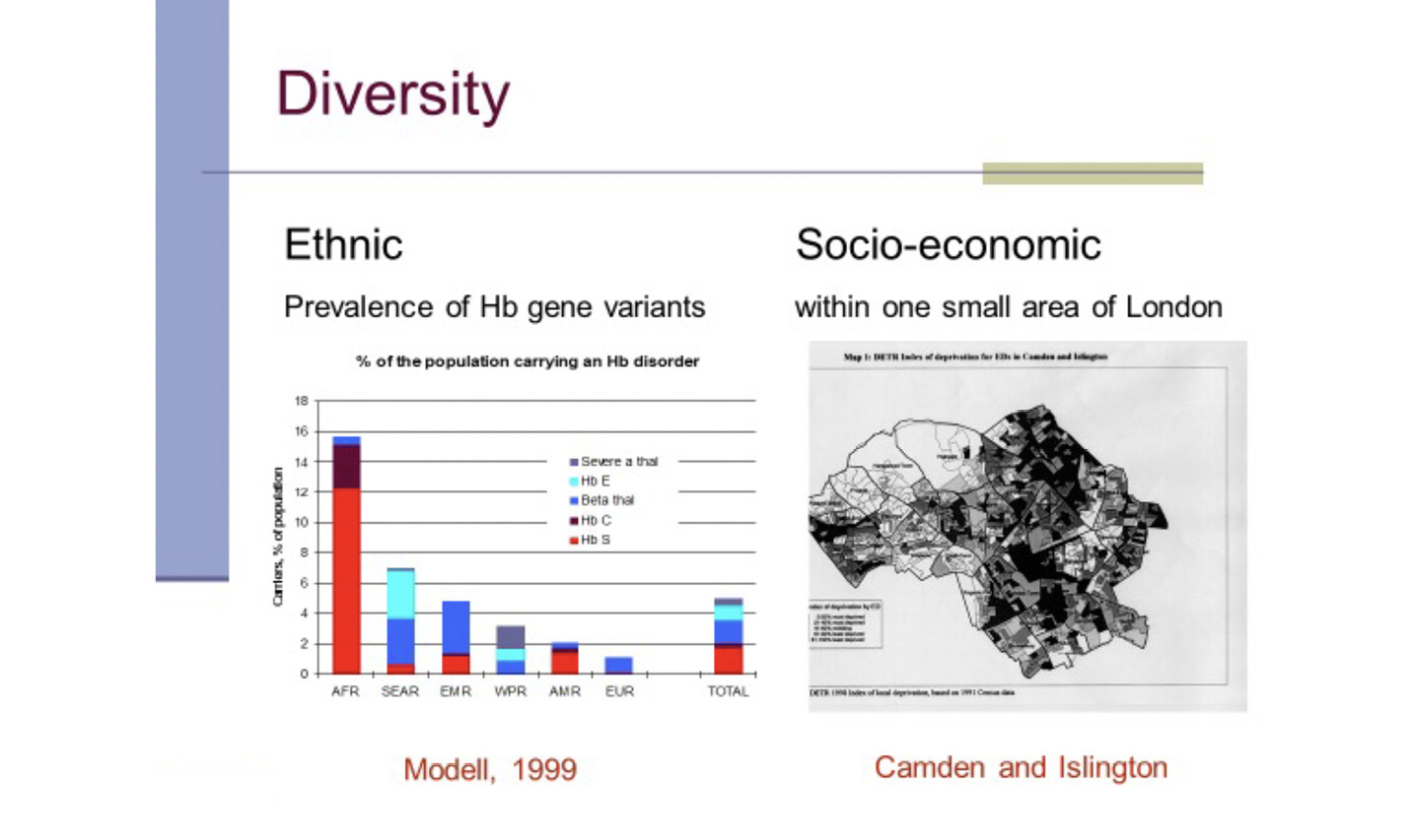 A presentation slide on diversity. Ethnic: Prevalence of Hb gene variants - demonstrated by a graph entitled “% of the population carrying a Hb disorder”, which compares “Carriers, % of population” and the location (Modell, 1999). Socio-economic: within one small area of London - illustrated by a colour-coded map of Camden and Islington (of London).