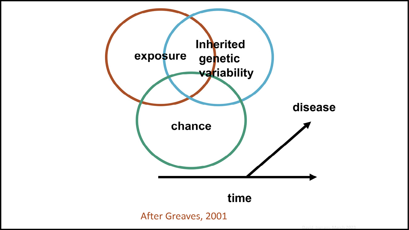 A diagram showing the interaction over time as factors - listed here as ‘exposure’, ‘Inherited genetic variability’ and ‘chance’ - causative of disease (After Greaves, 2001).