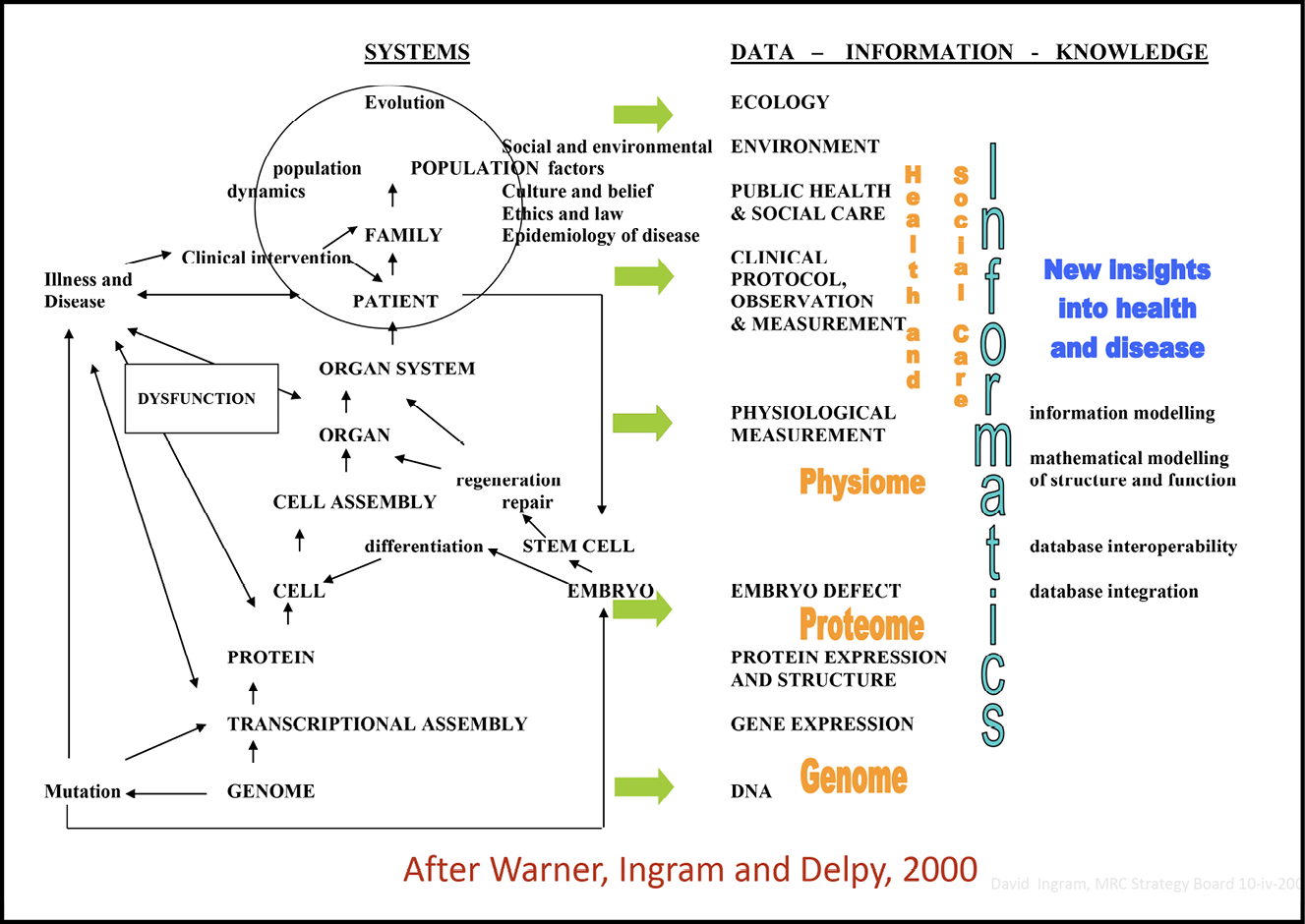 A presentation slide featuring a diagram that demonstrates the connected information landscape of human biology and medicine (After Warner, Ingram and Delpy, 2000).